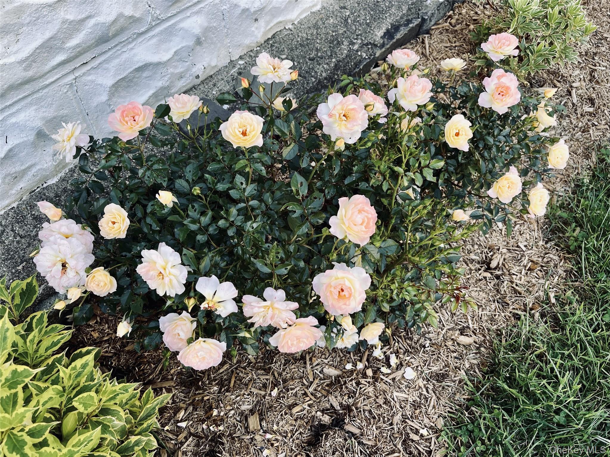 Single Family Harper Westchester County, NY 10548, MLS-969780-32