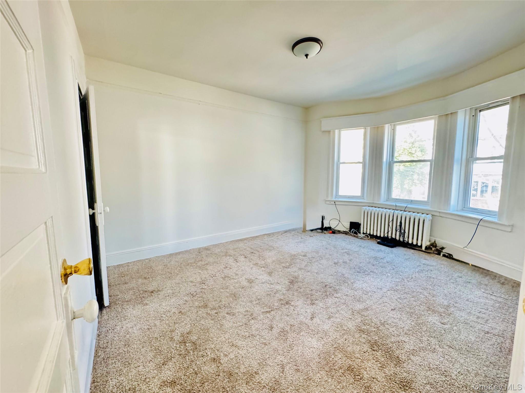 Single Family 85th  Queens, NY 11421, MLS-969810-19