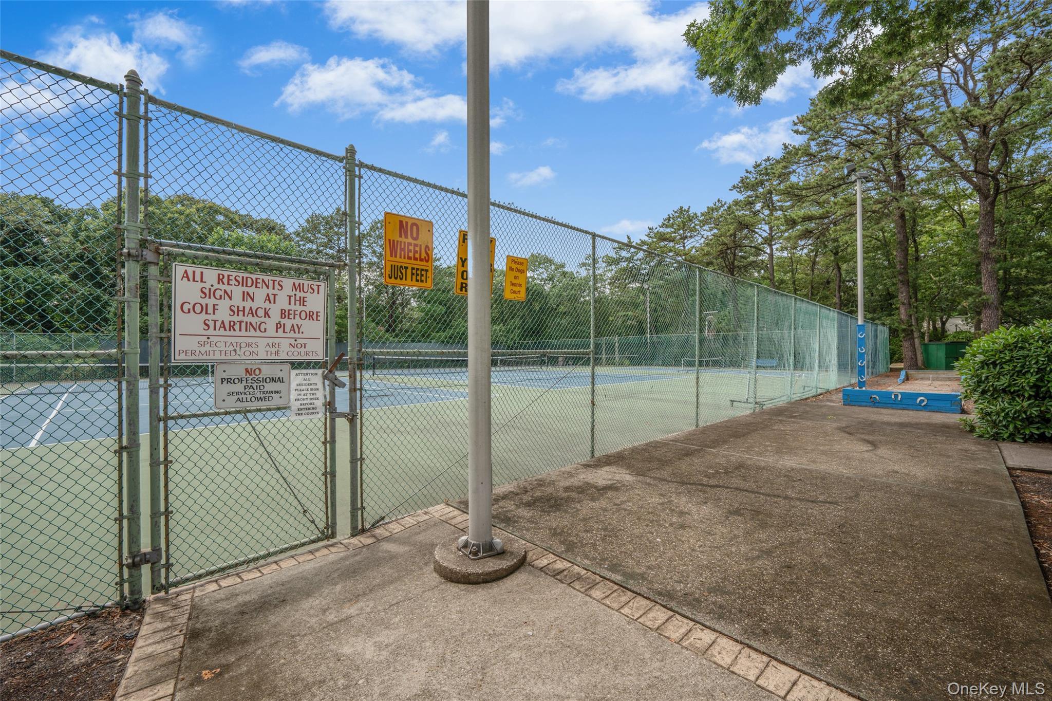 Condo Birchwood  Suffolk County, NY 11763, MLS-969846-21