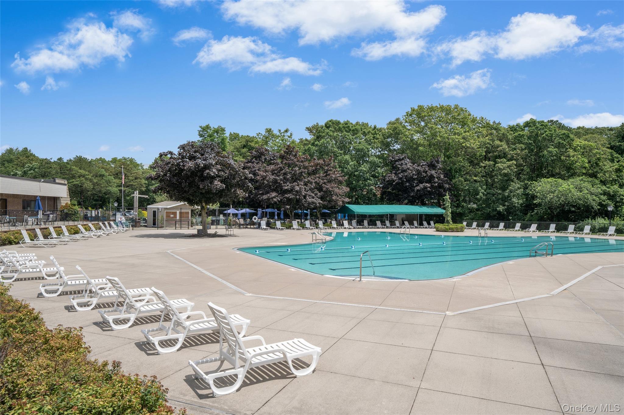 Condo Birchwood  Suffolk County, NY 11763, MLS-969846-28