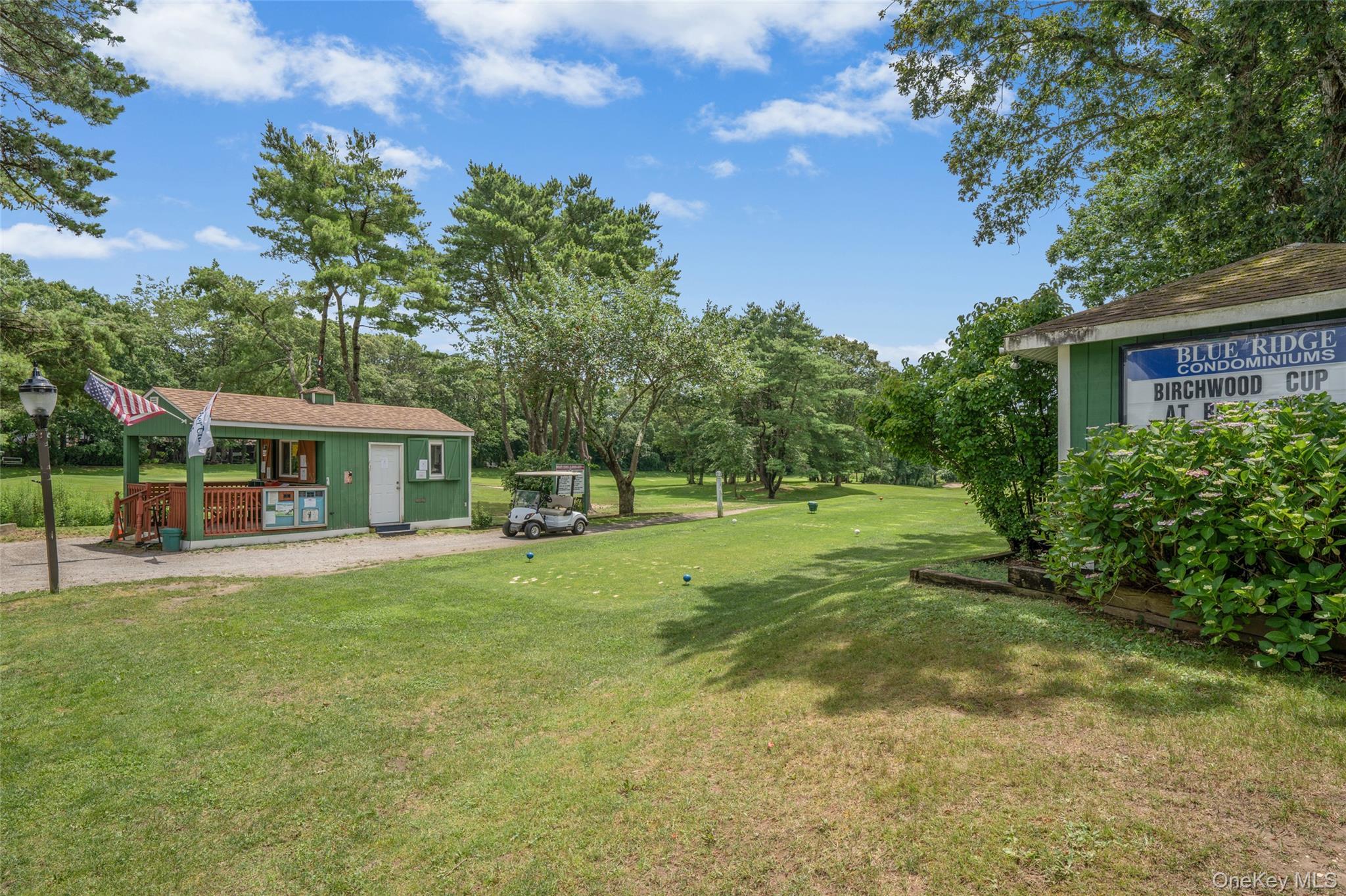 Condo Birchwood  Suffolk County, NY 11763, MLS-969846-30