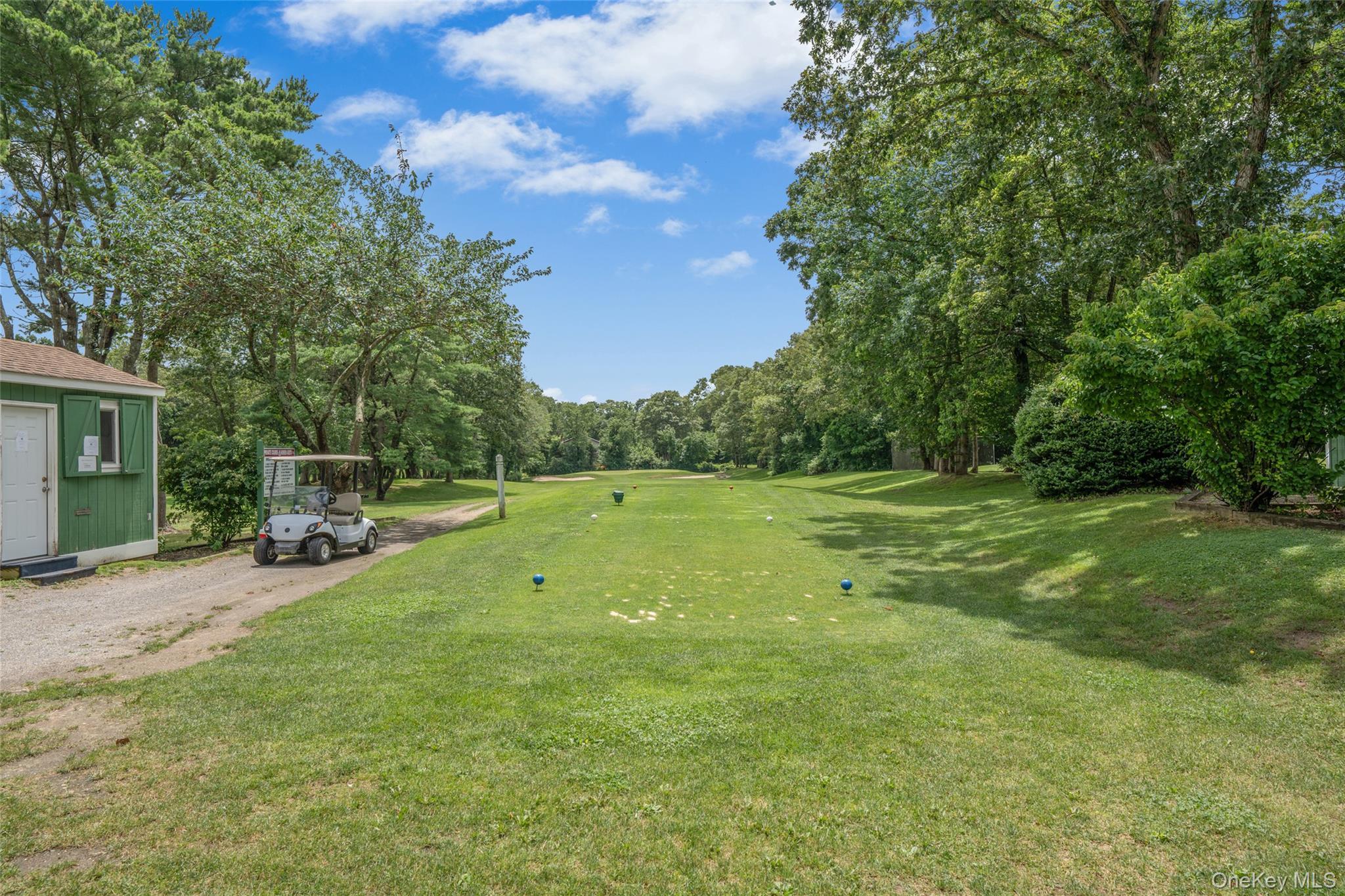 Condo Birchwood  Suffolk County, NY 11763, MLS-969846-31