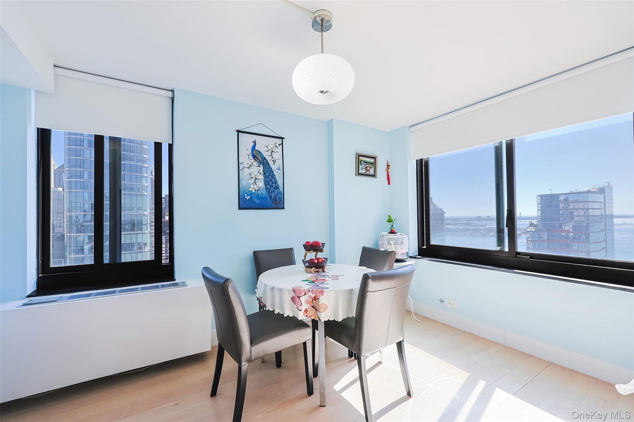Condo Rector  Manhattan, NY 10280, MLS-969882-9