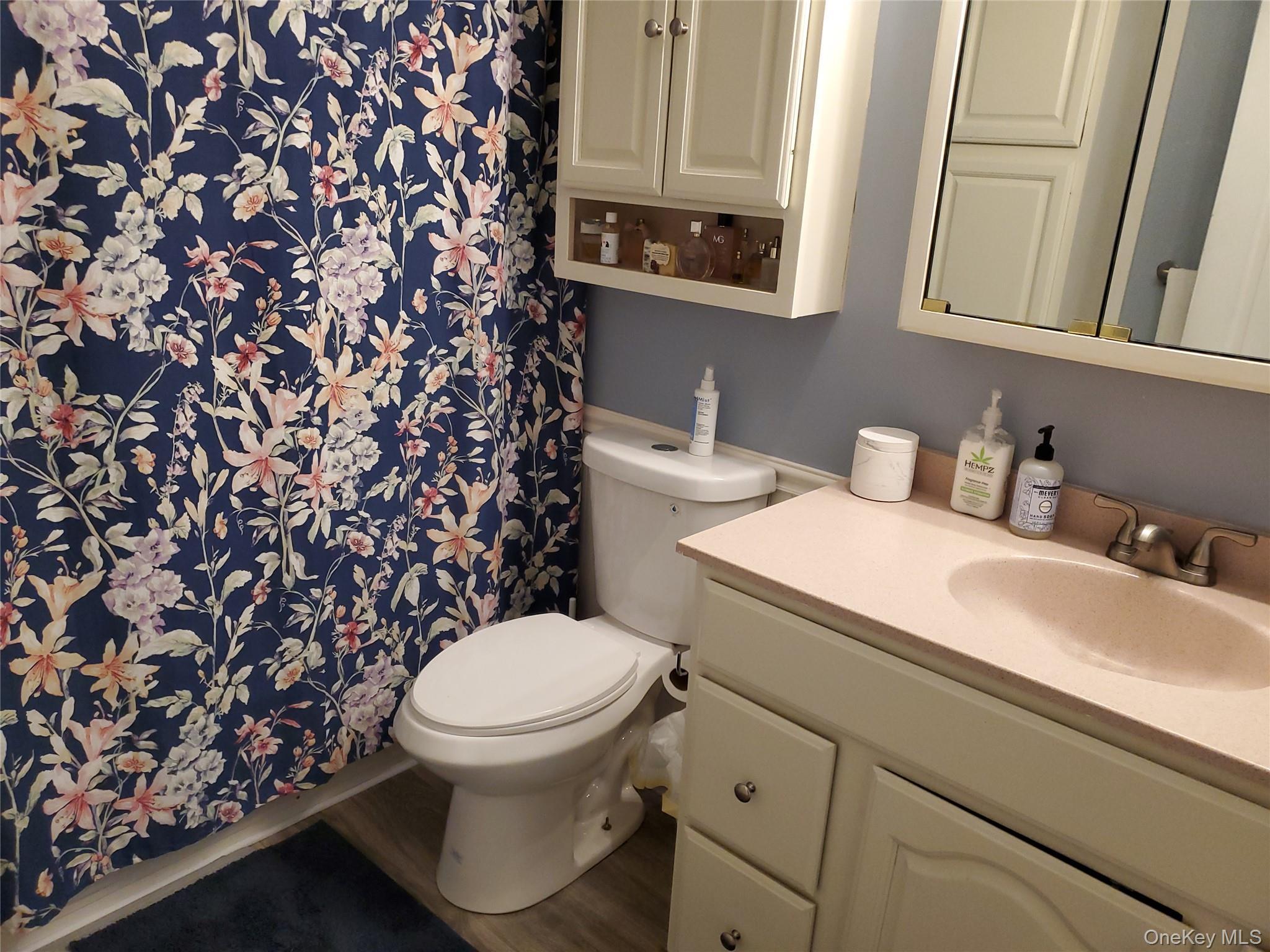 Single Family Fawn  Suffolk County, NY 11720, MLS-969884-19