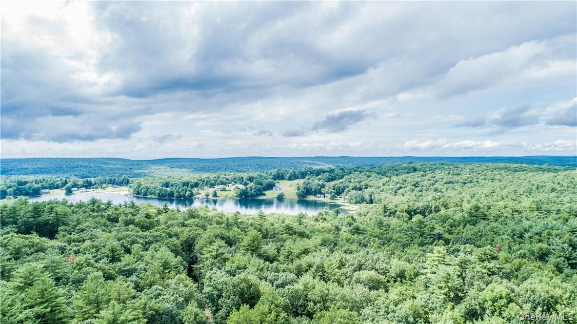 Single Family Marko Drive Sullivan County, NY 12732, MLS-969915-23