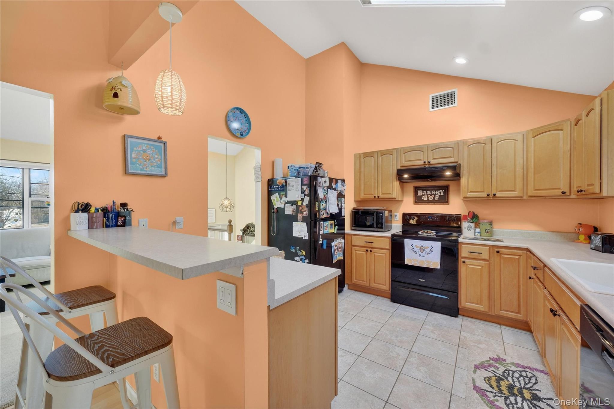 Single Family Timberline  Dutchess County, NY 12603, MLS-969936-12