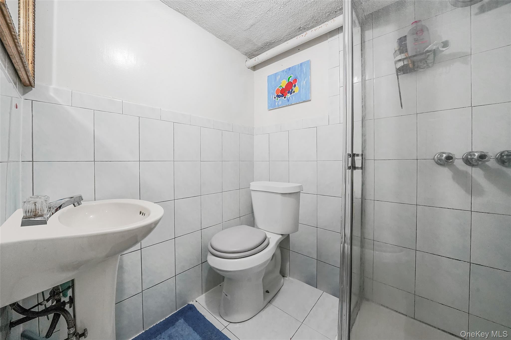 Single Family Branton  Brooklyn, NY 11236, MLS-969940-15