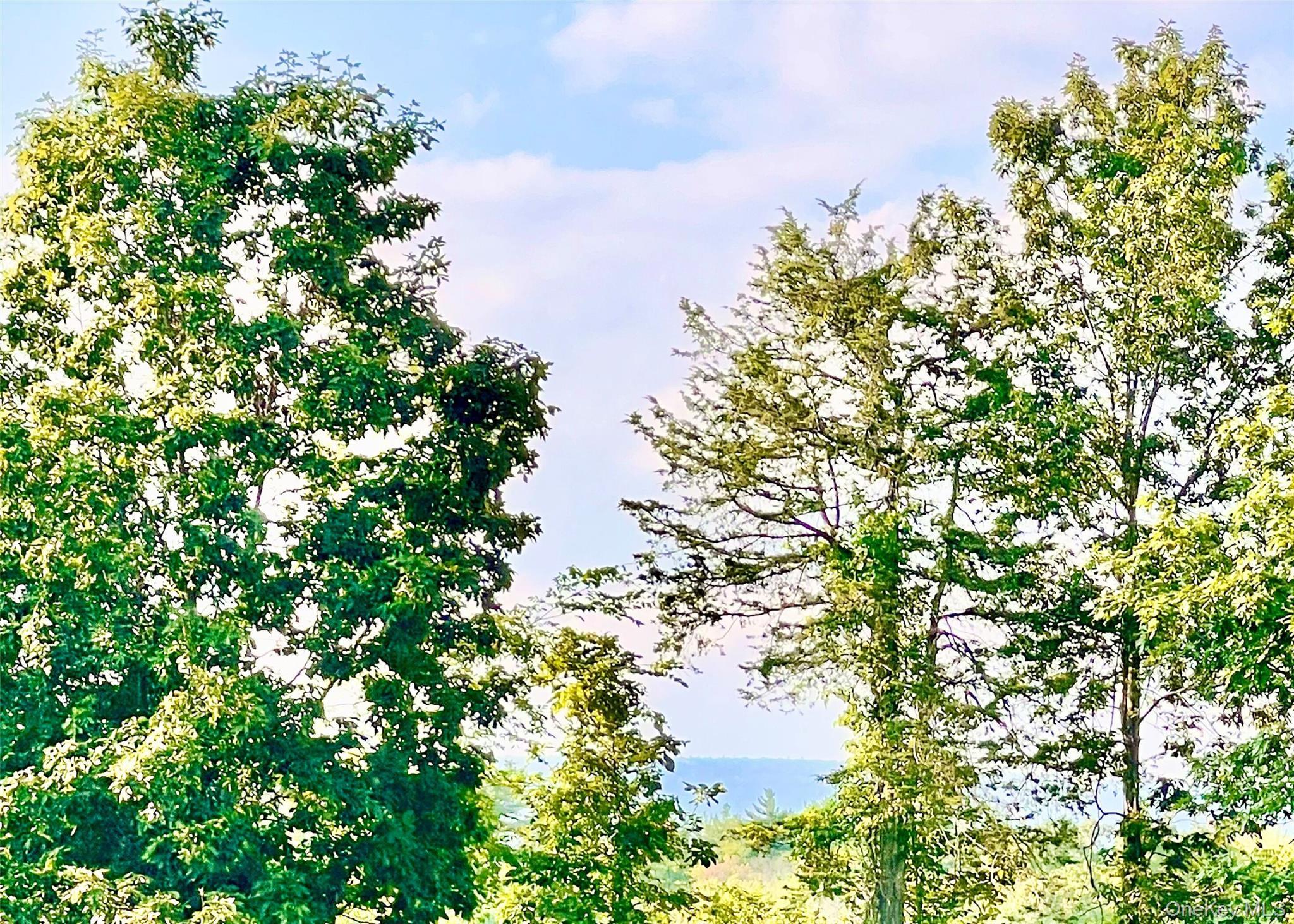 Single Family Pirog  Ulster County, NY 12566, MLS-969965-27