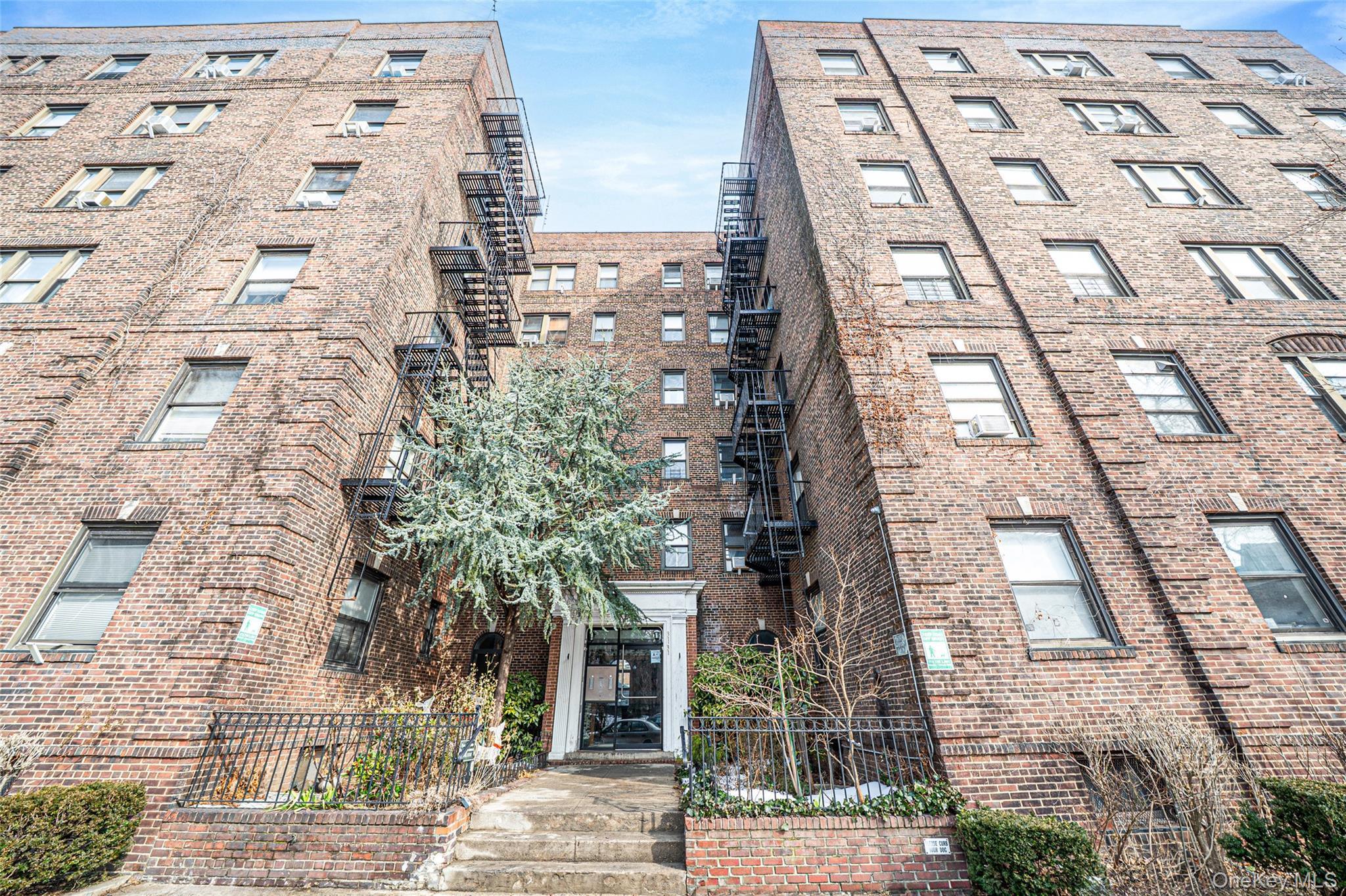 Coop Street  Queens, NY 11377, MLS-969992-3