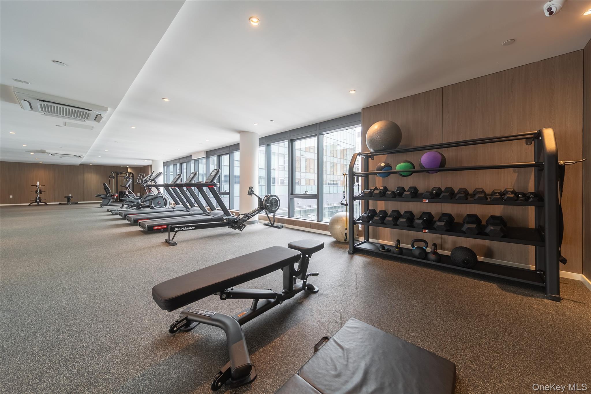 Condo Northern  Queens, NY 11354, MLS-969995-16