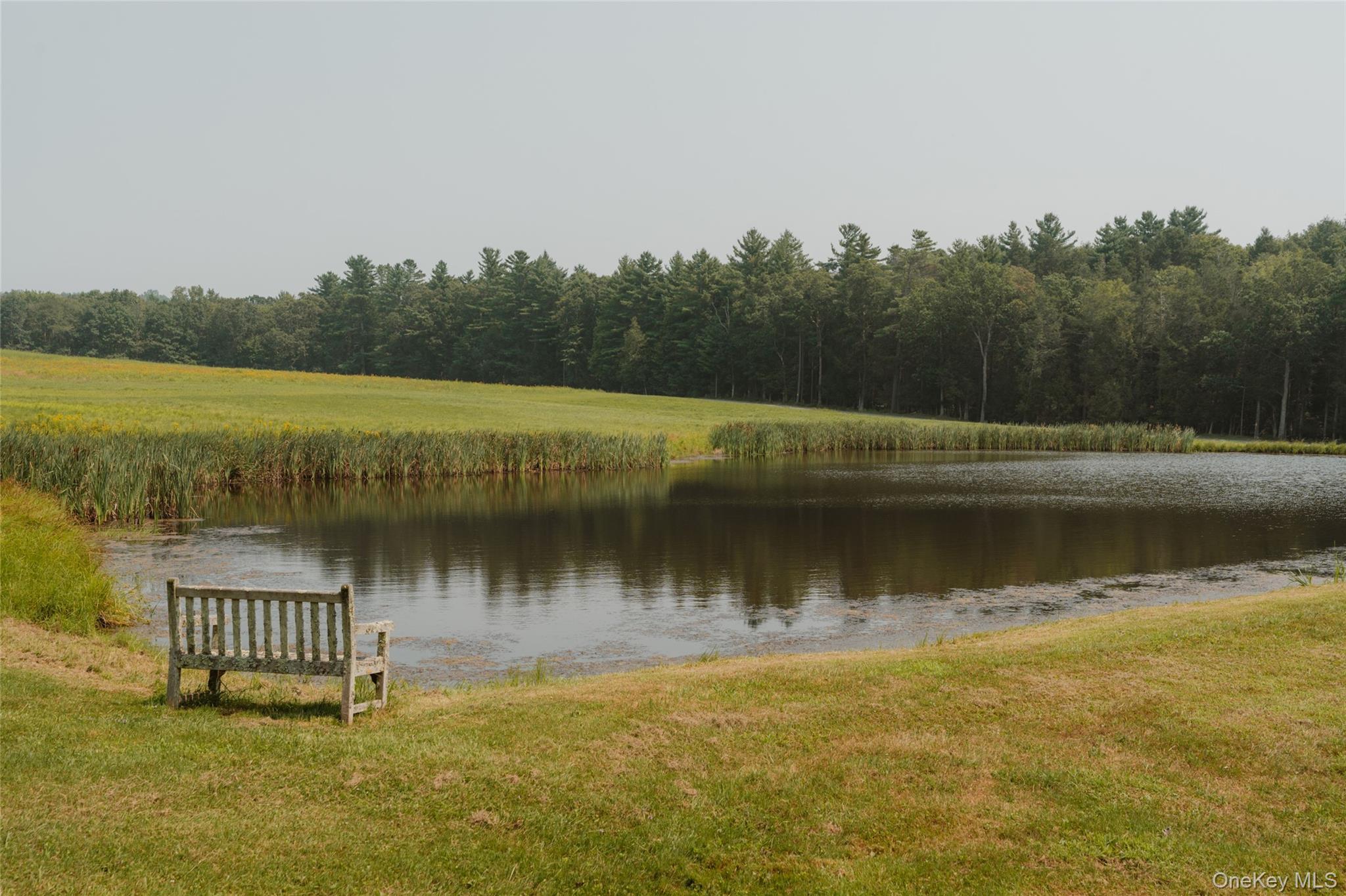 Single Family Old Hankins Road Sullivan County, NY 12723, MLS-970019-42