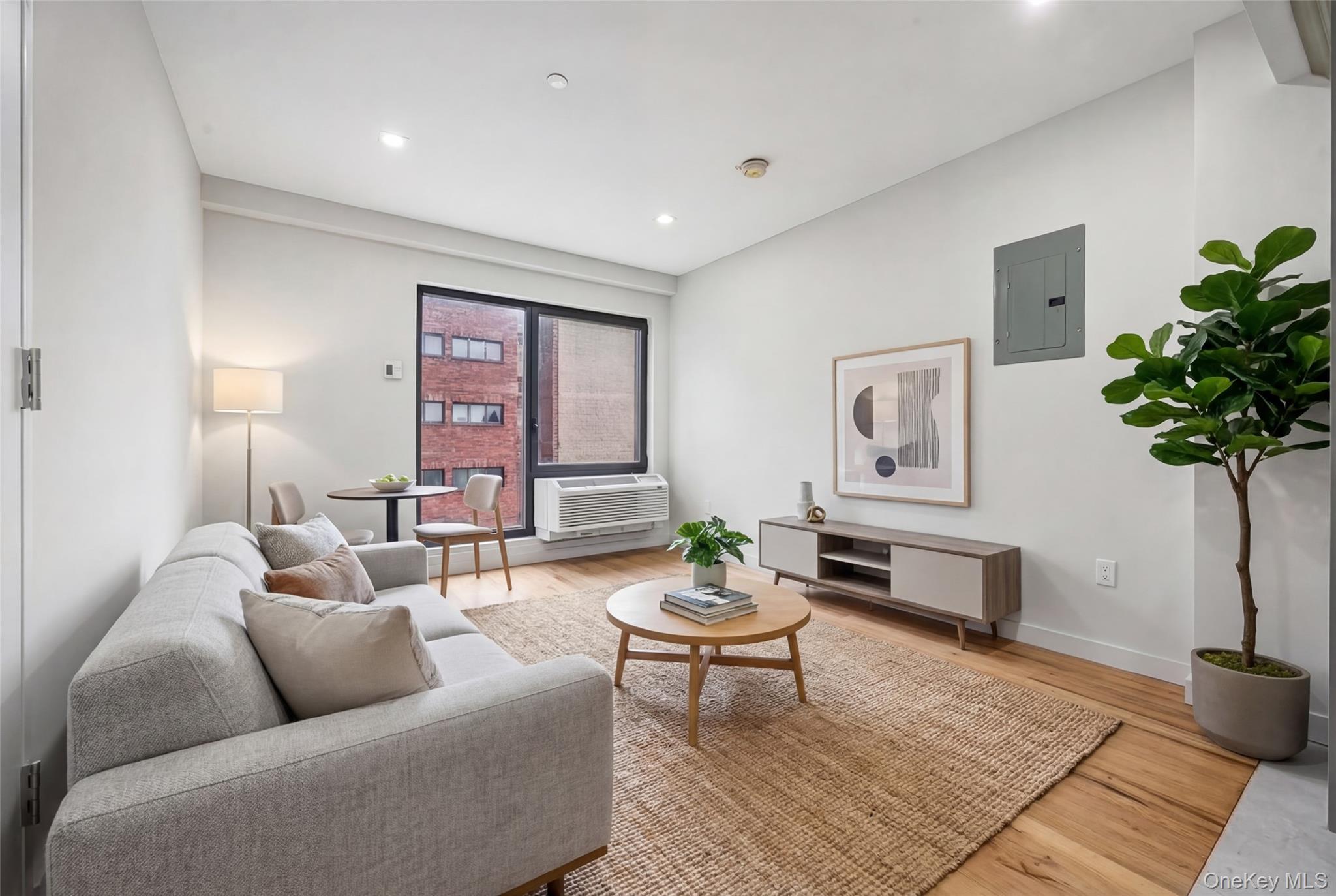 Apartment Graham  Brooklyn, NY 11211, MLS-970061-5