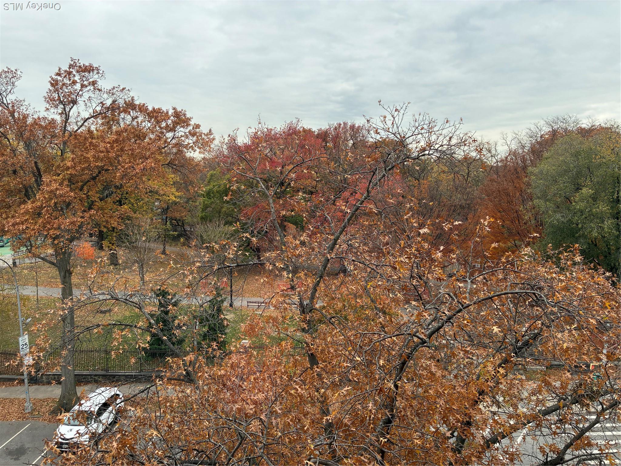 Apartment Waring Bronx, NY 10467, MLS-970094-3