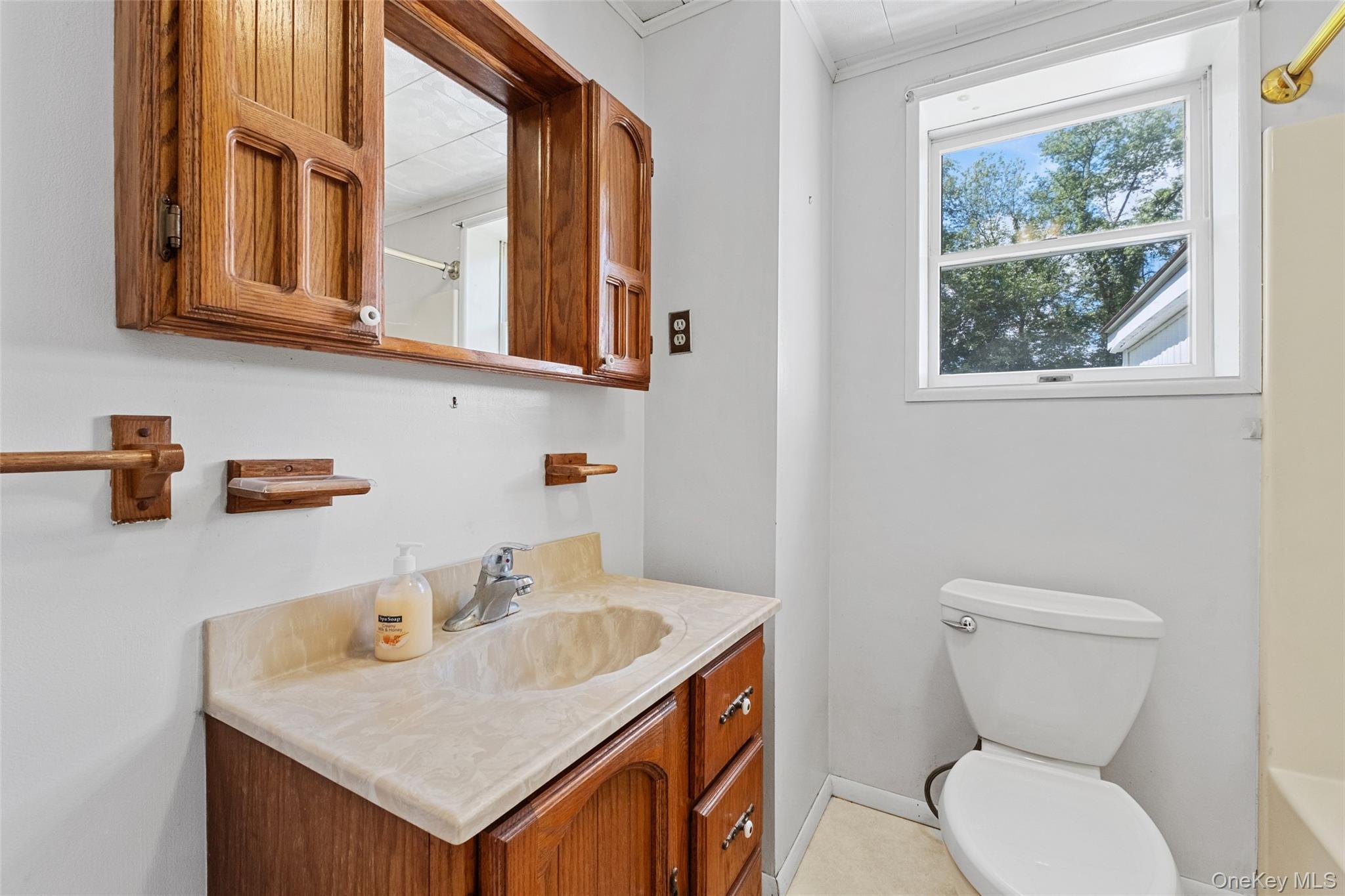 Single Family Brown  Dutchess County, NY 12590, MLS-970099-17