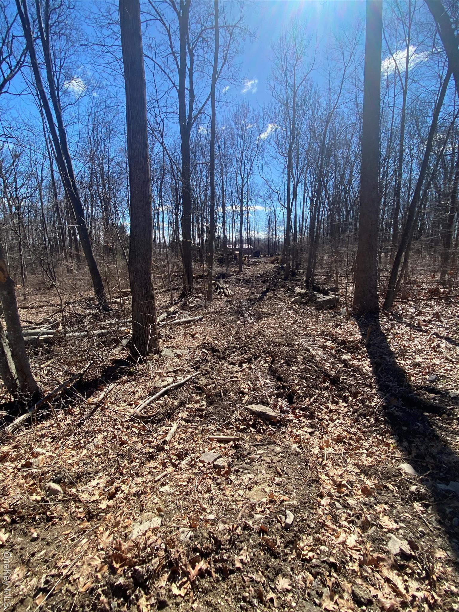 Single Family Kirbytown  Orange County, NY 10940, MLS-970130-37