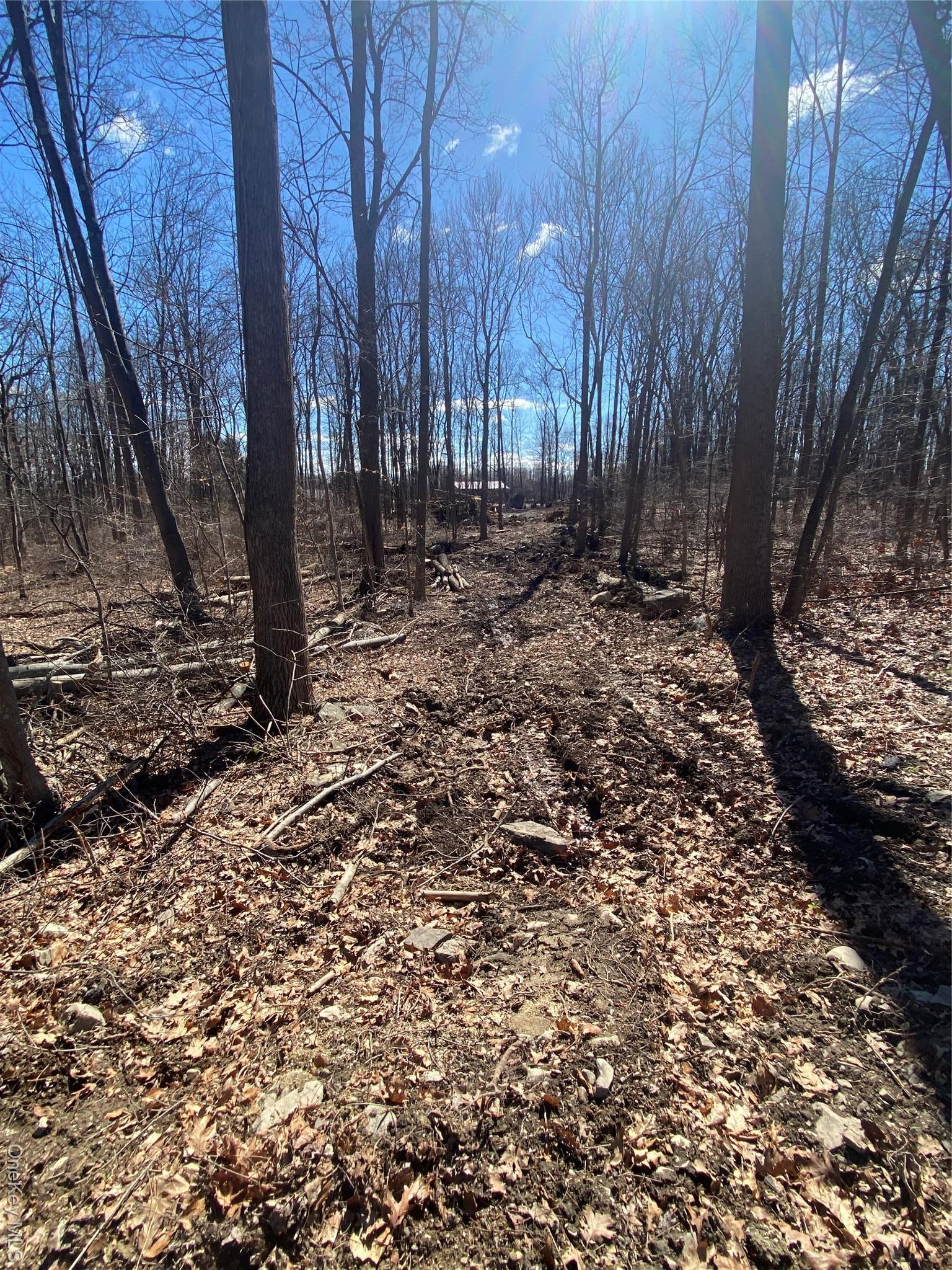 Single Family Kirbytown  Orange County, NY 10940, MLS-970130-38