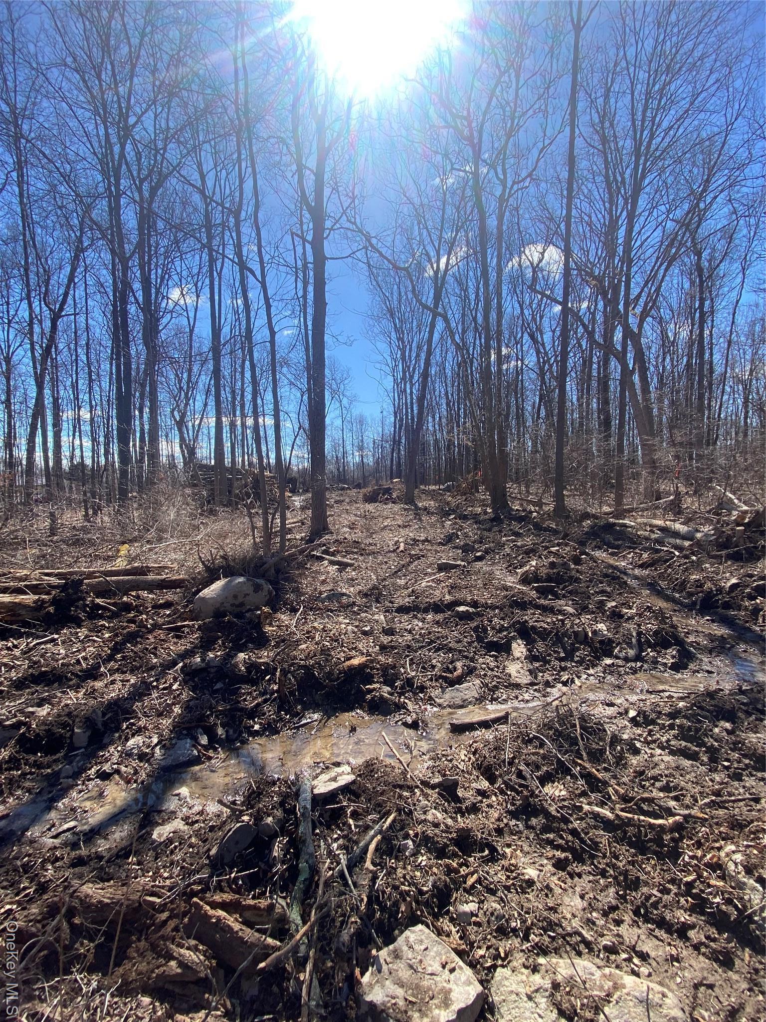 Single Family Kirbytown  Orange County, NY 10940, MLS-970130-39