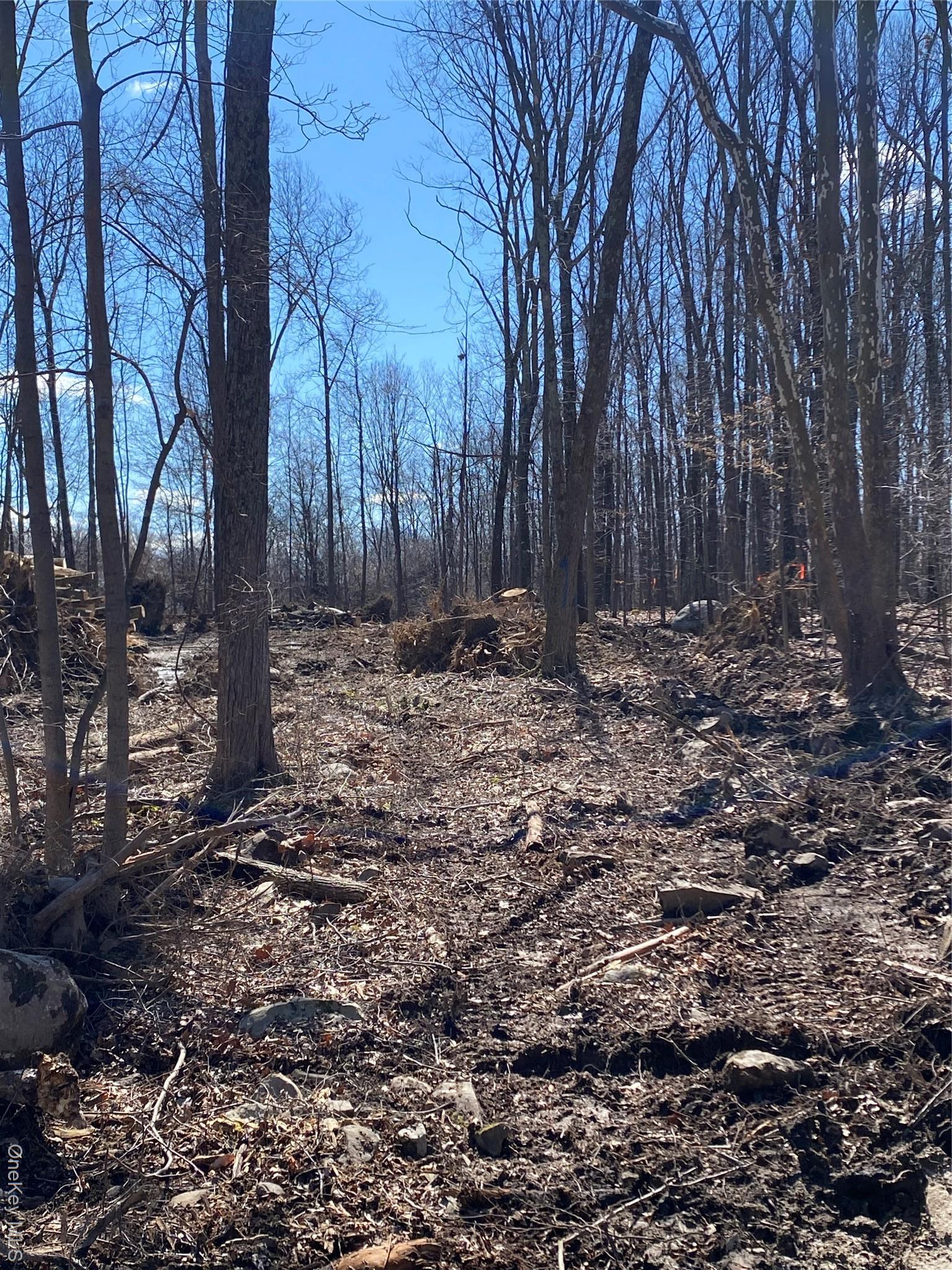 Single Family Kirbytown  Orange County, NY 10940, MLS-970130-41