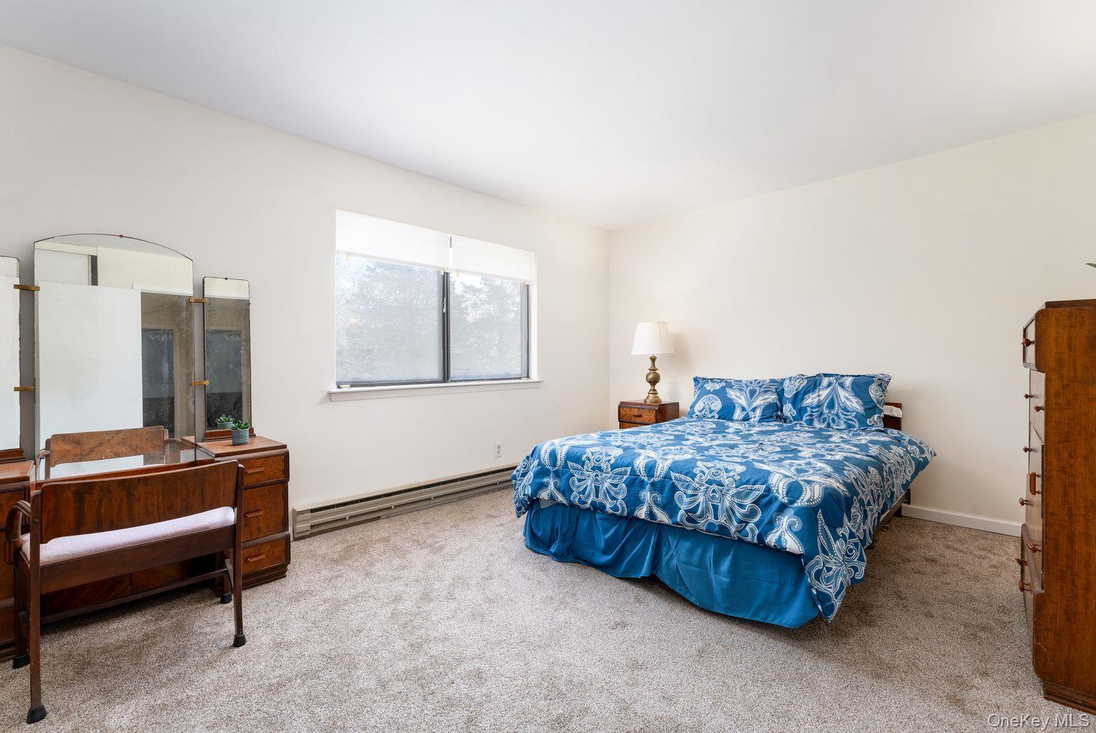 Condo Drew  Suffolk County, NY 11780, MLS-970144-9