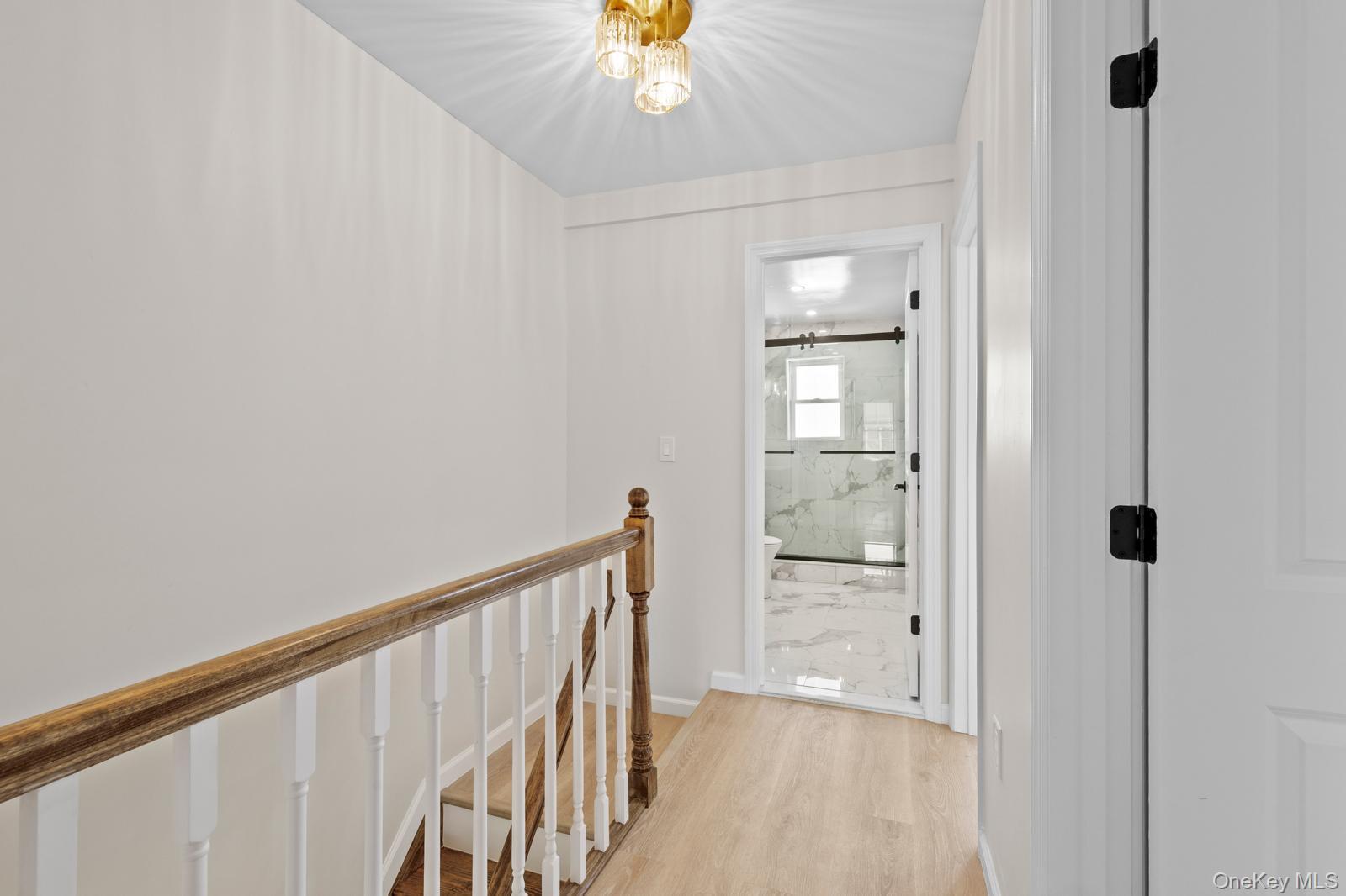 Single Family 225th Queens, NY 11413, MLS-970207-16