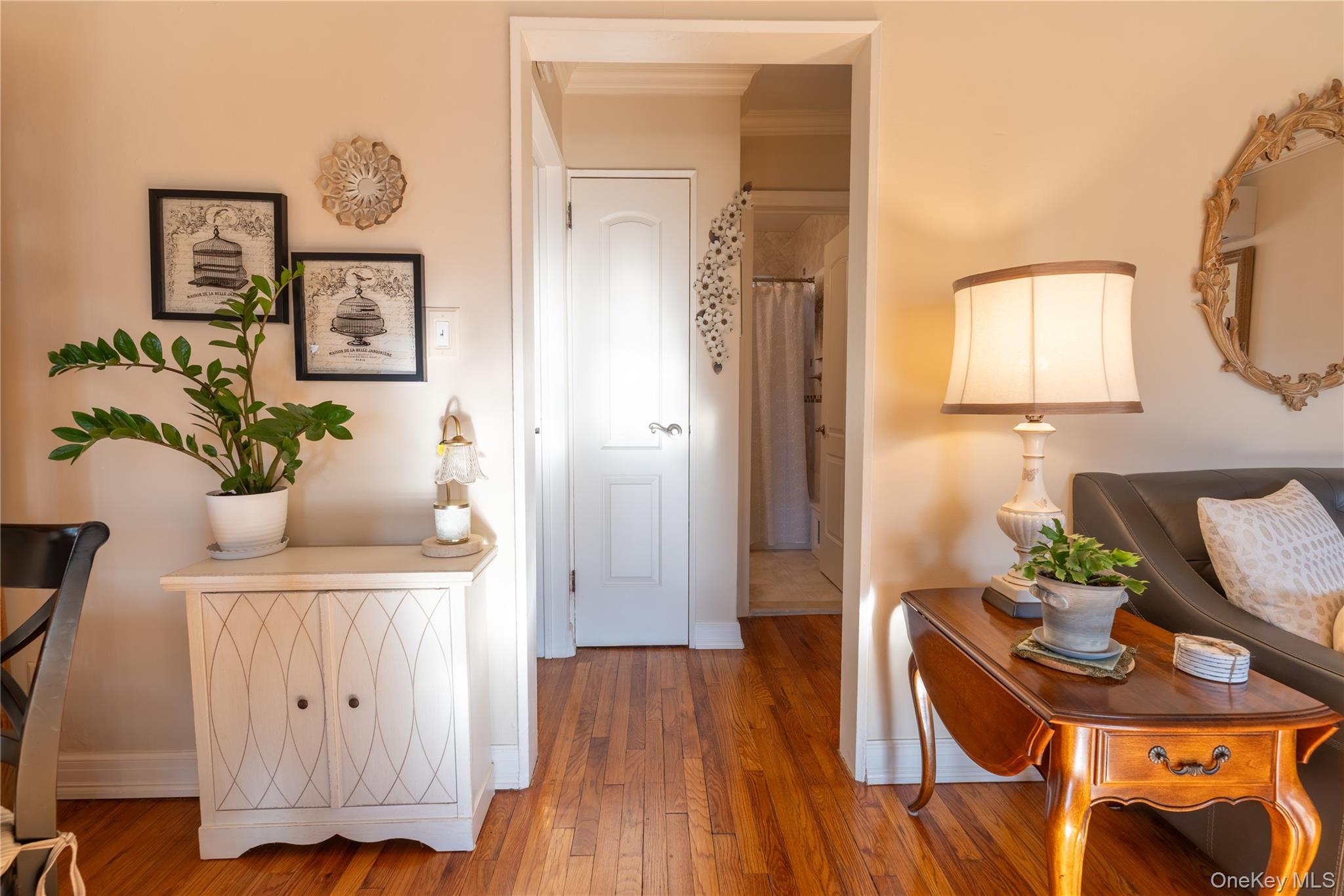 Coop 60  Queens, NY 11362, MLS-970213-12