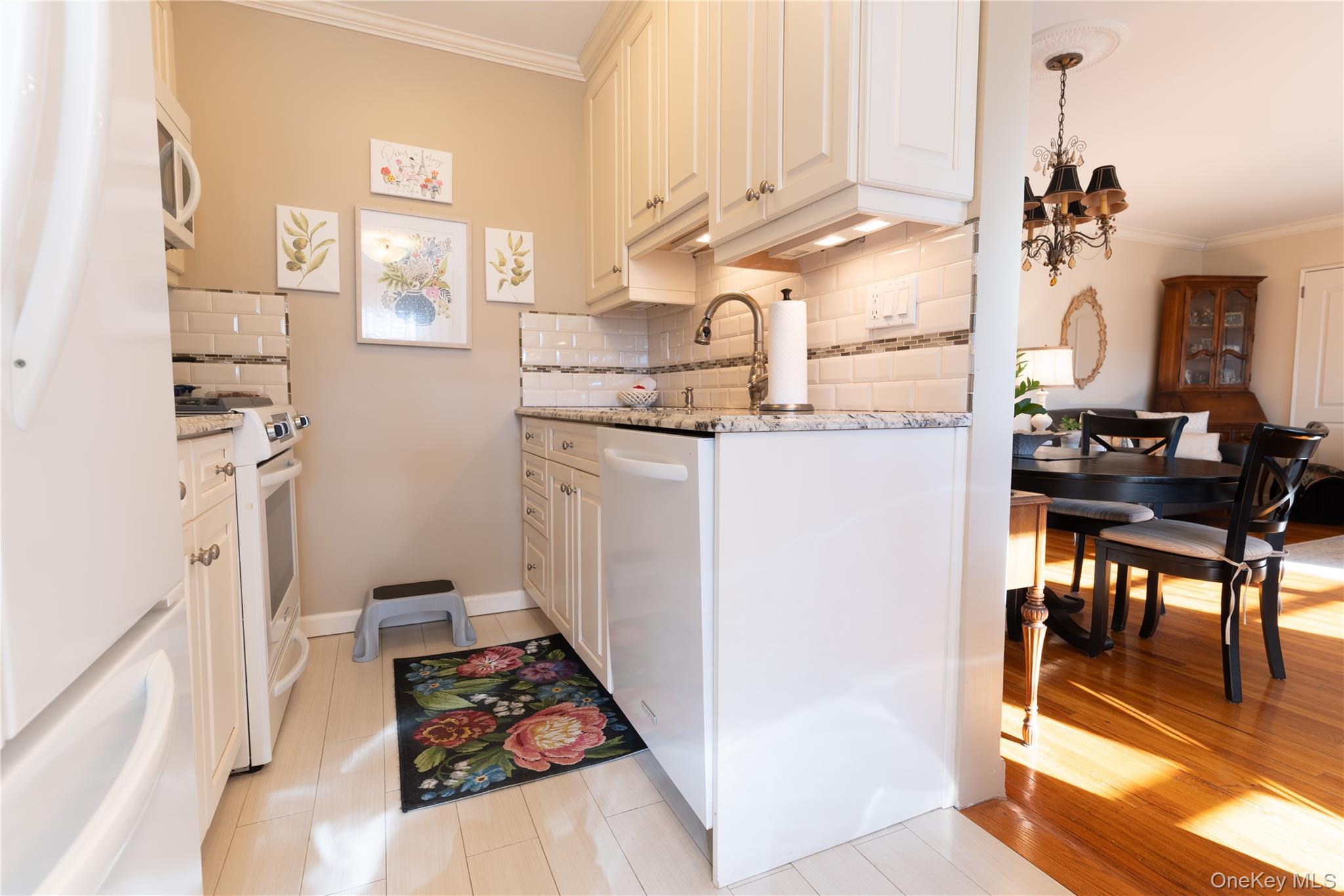 Coop 60  Queens, NY 11362, MLS-970213-3