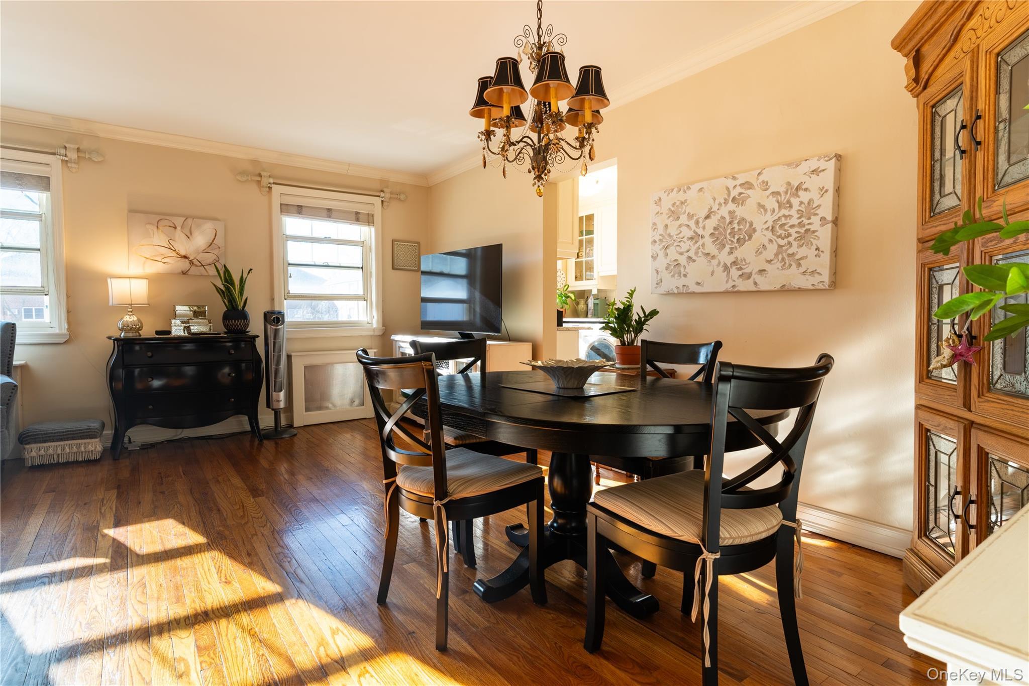 Coop 60  Queens, NY 11362, MLS-970213-6