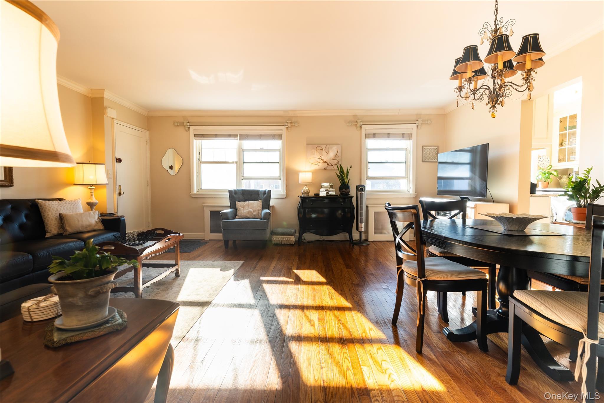 Coop 60  Queens, NY 11362, MLS-970213-7