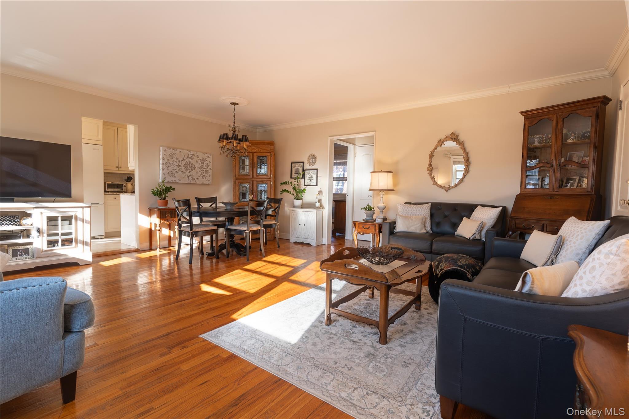 Coop 60  Queens, NY 11362, MLS-970213-8