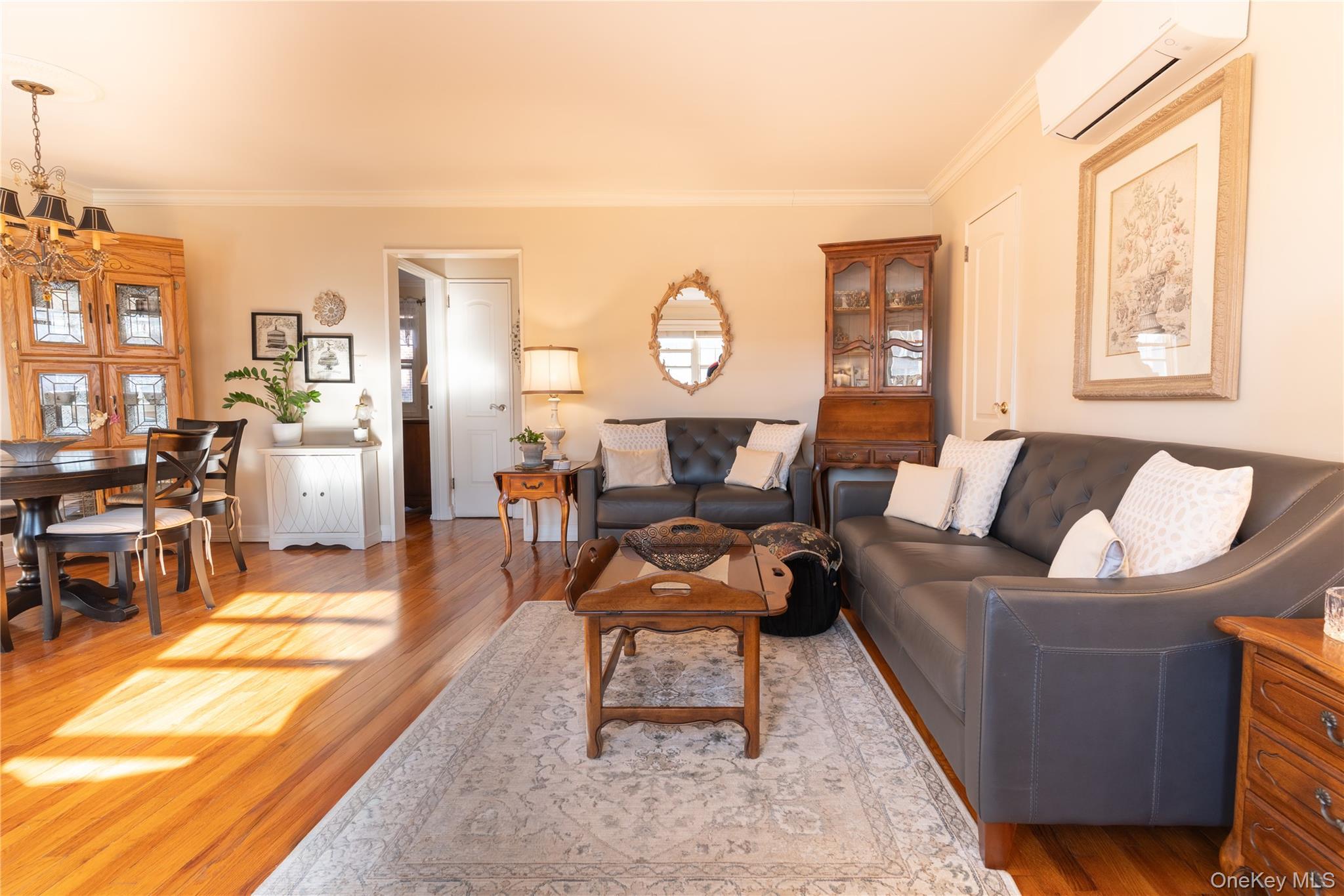 Coop 60  Queens, NY 11362, MLS-970213-9