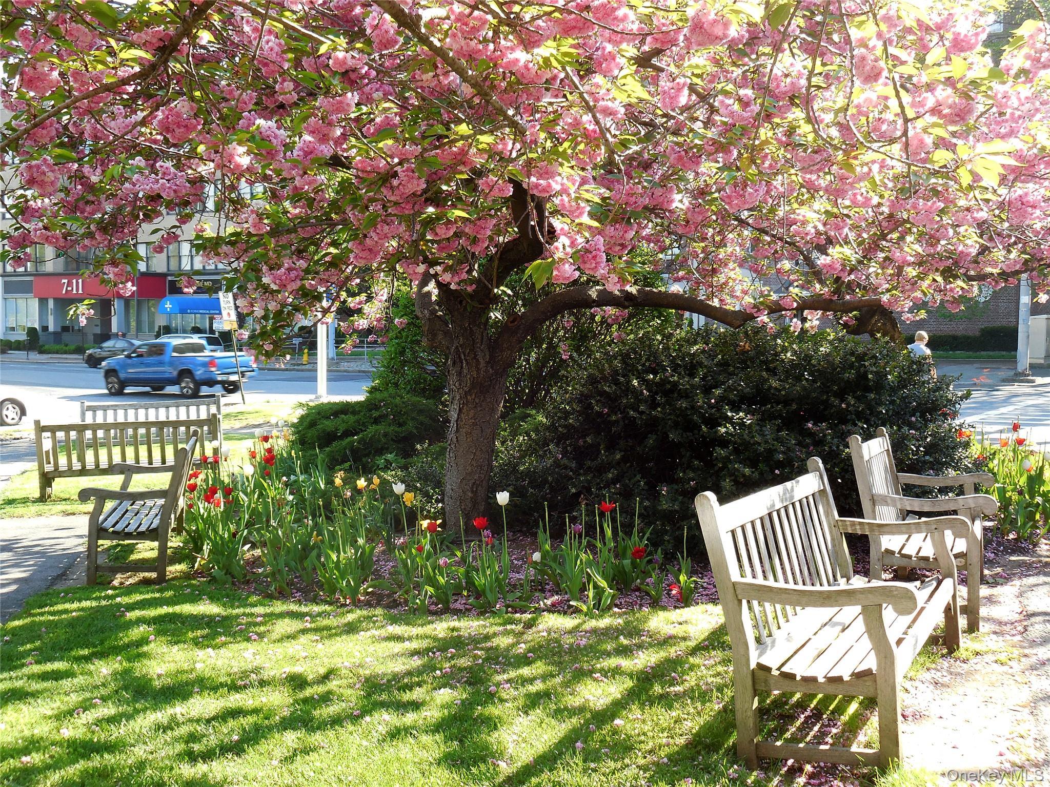 Coop Broadway  Westchester County, NY 10601, MLS-970294-31