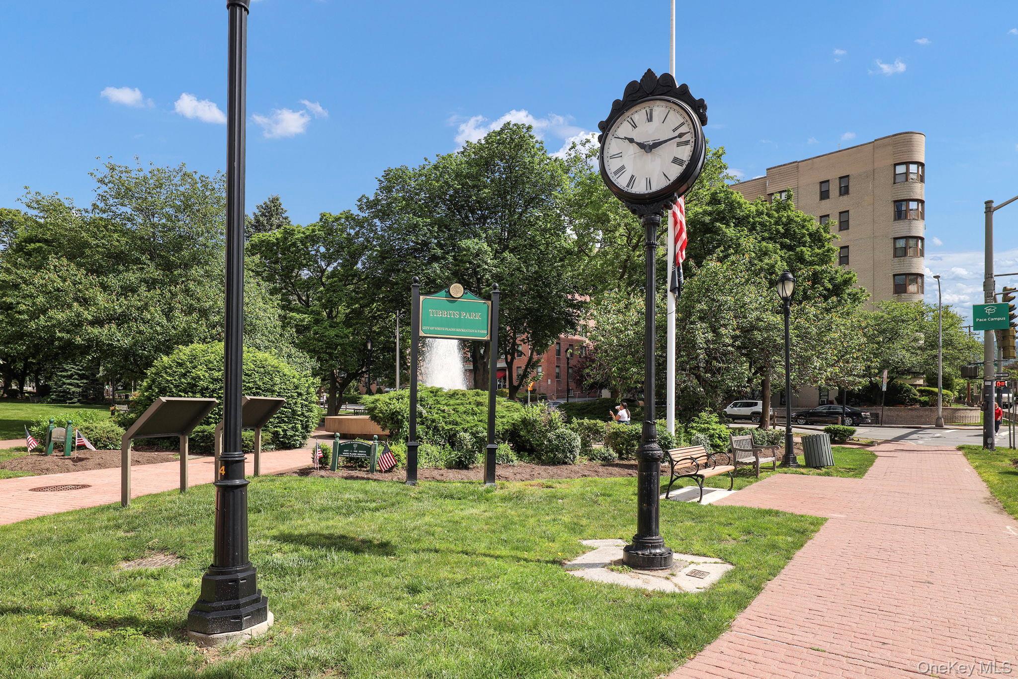 Coop Broadway  Westchester County, NY 10601, MLS-970294-33