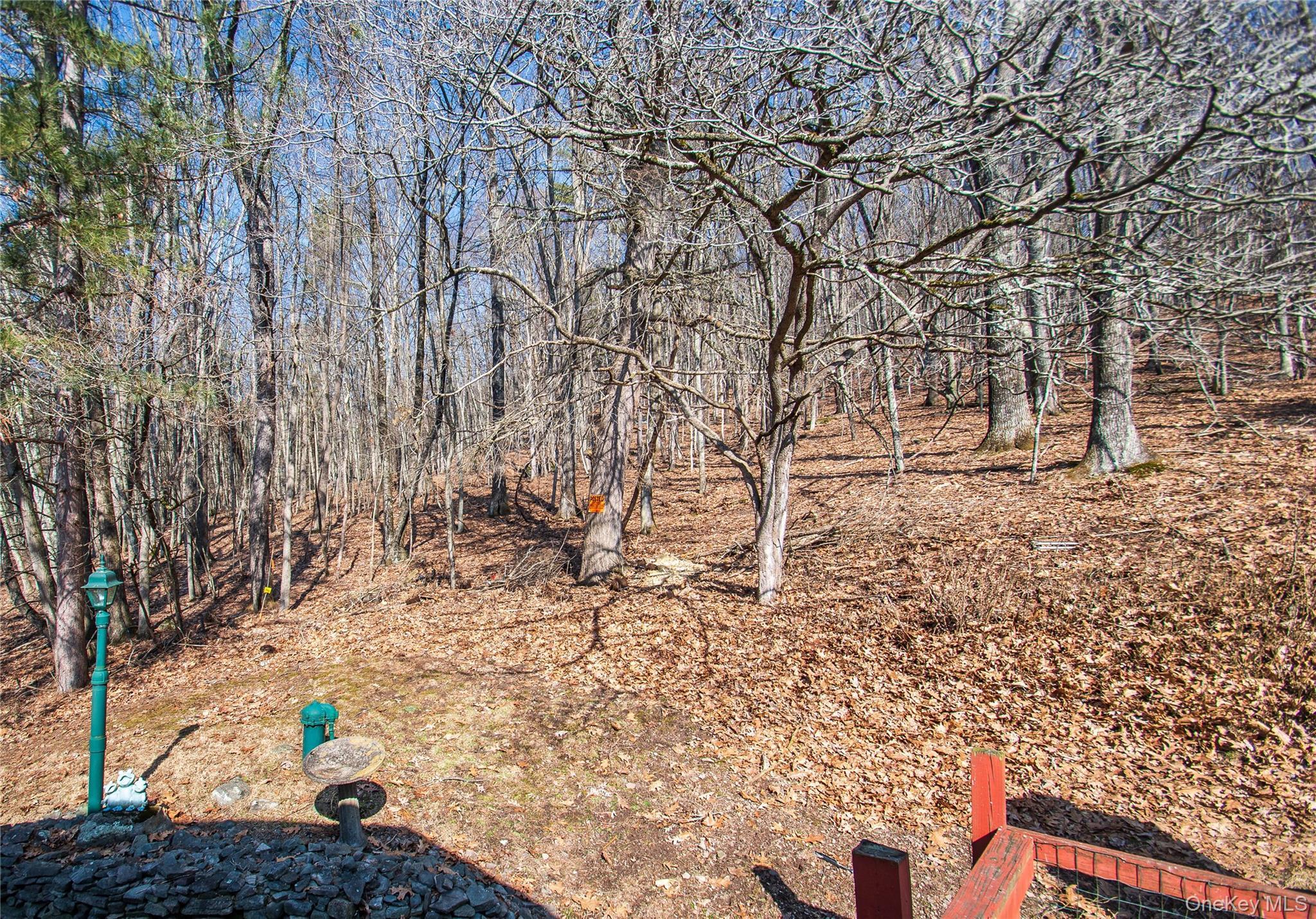 Single Family County Road 132 Sullivan County, NY 12741, MLS-970363-43