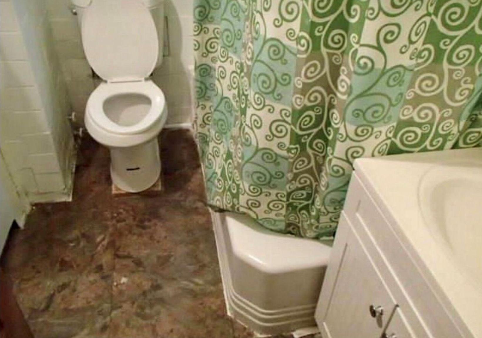 Single Family Ericsson  Queens, NY 11369, MLS-970418-7