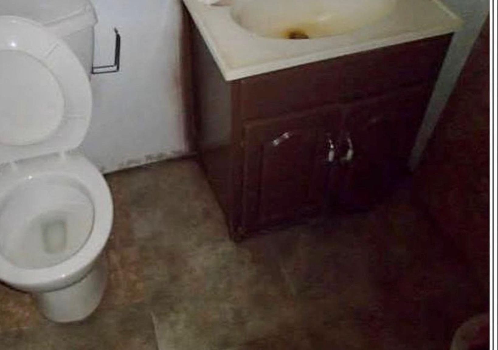 Single Family Ericsson  Queens, NY 11369, MLS-970418-8