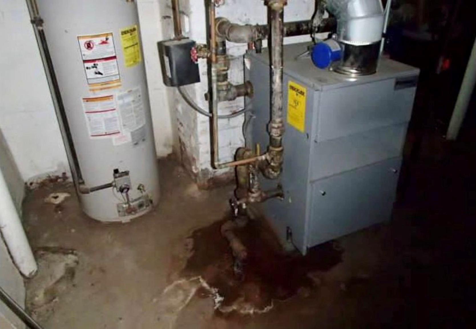 Single Family Ericsson  Queens, NY 11369, MLS-970418-9