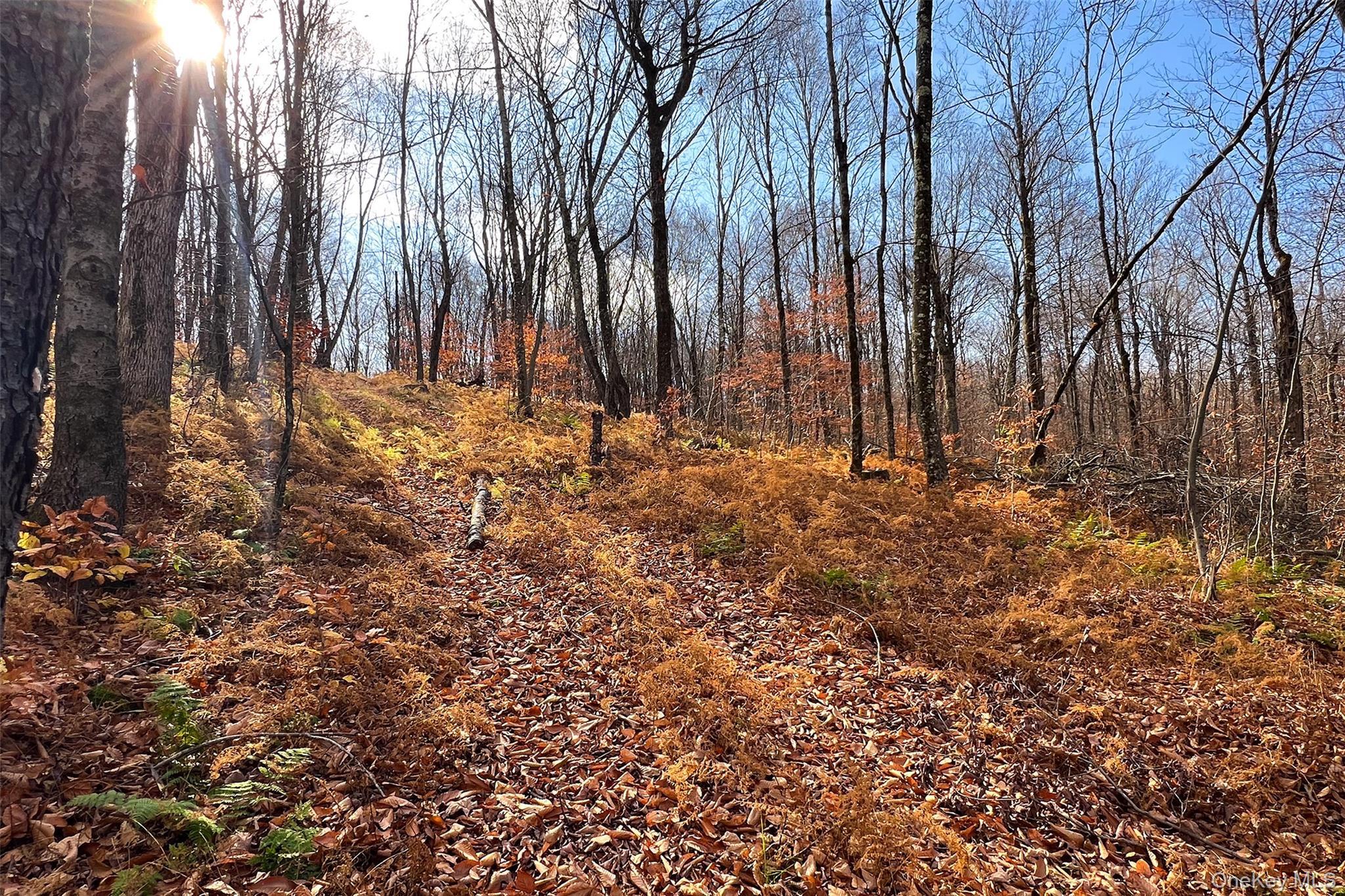 Single Family Curtis  Delaware County, NY 13782, MLS-970436-36