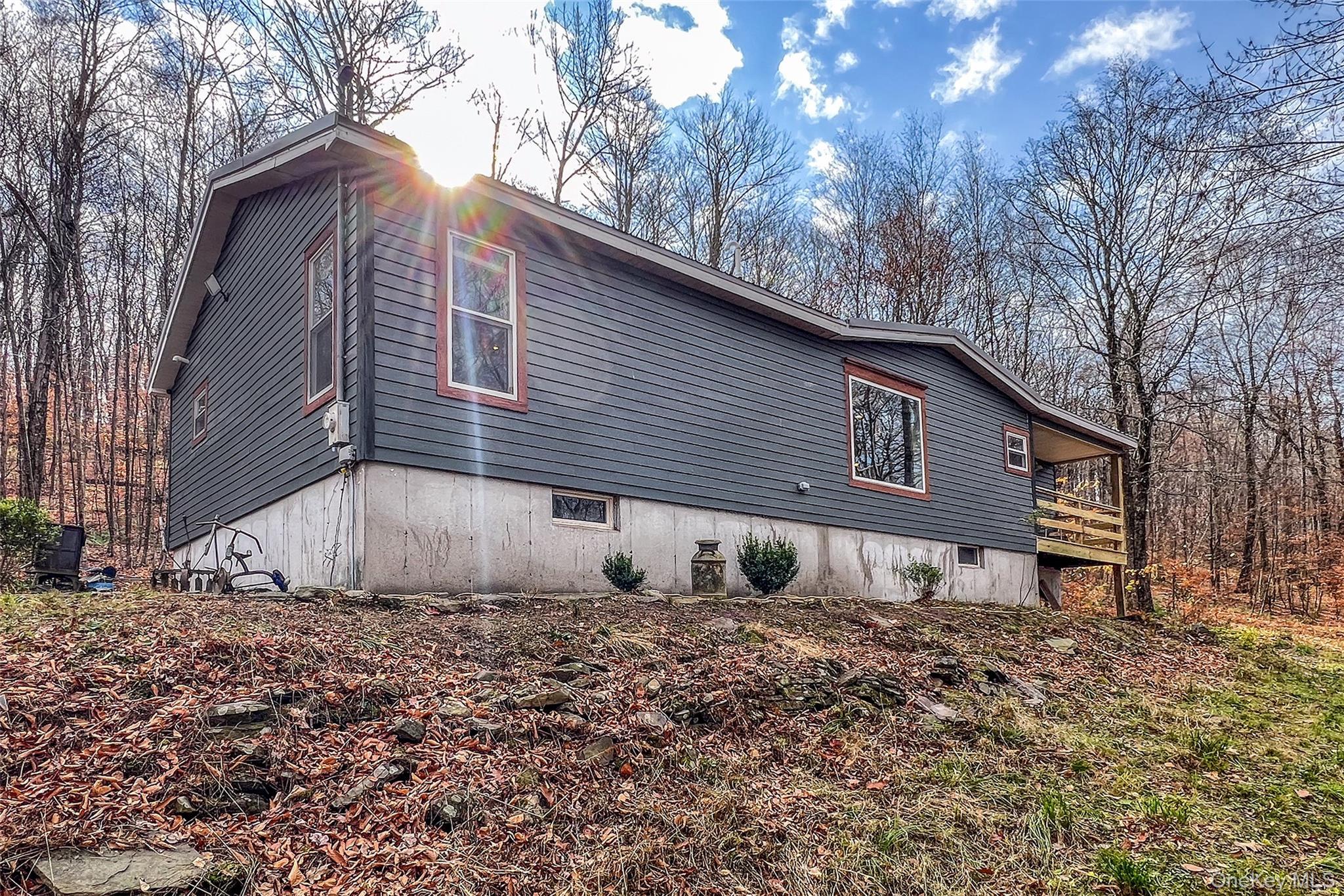 Single Family Curtis  Delaware County, NY 13782, MLS-970436-6