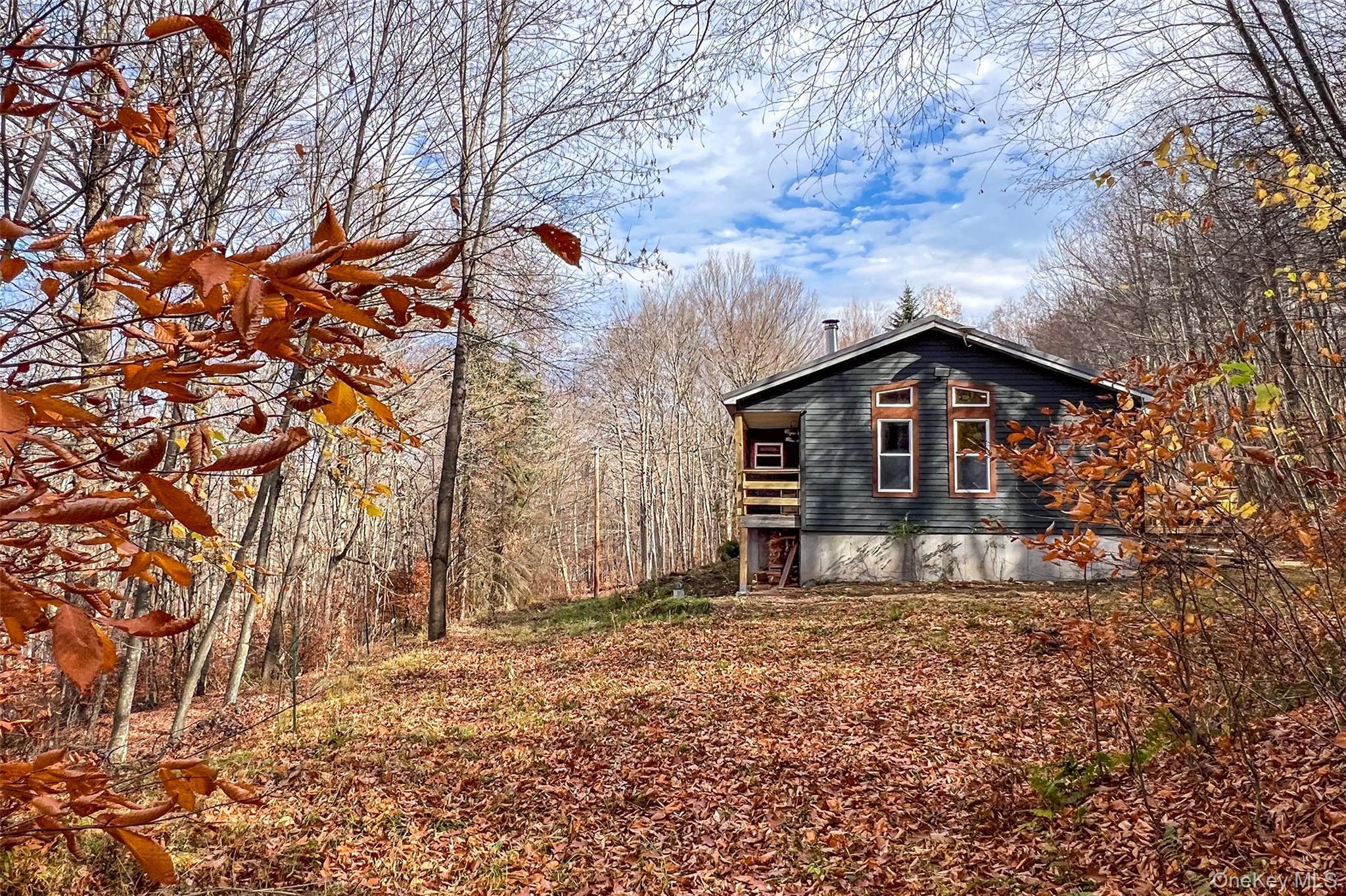 Single Family Curtis  Delaware County, NY 13782, MLS-970436-9