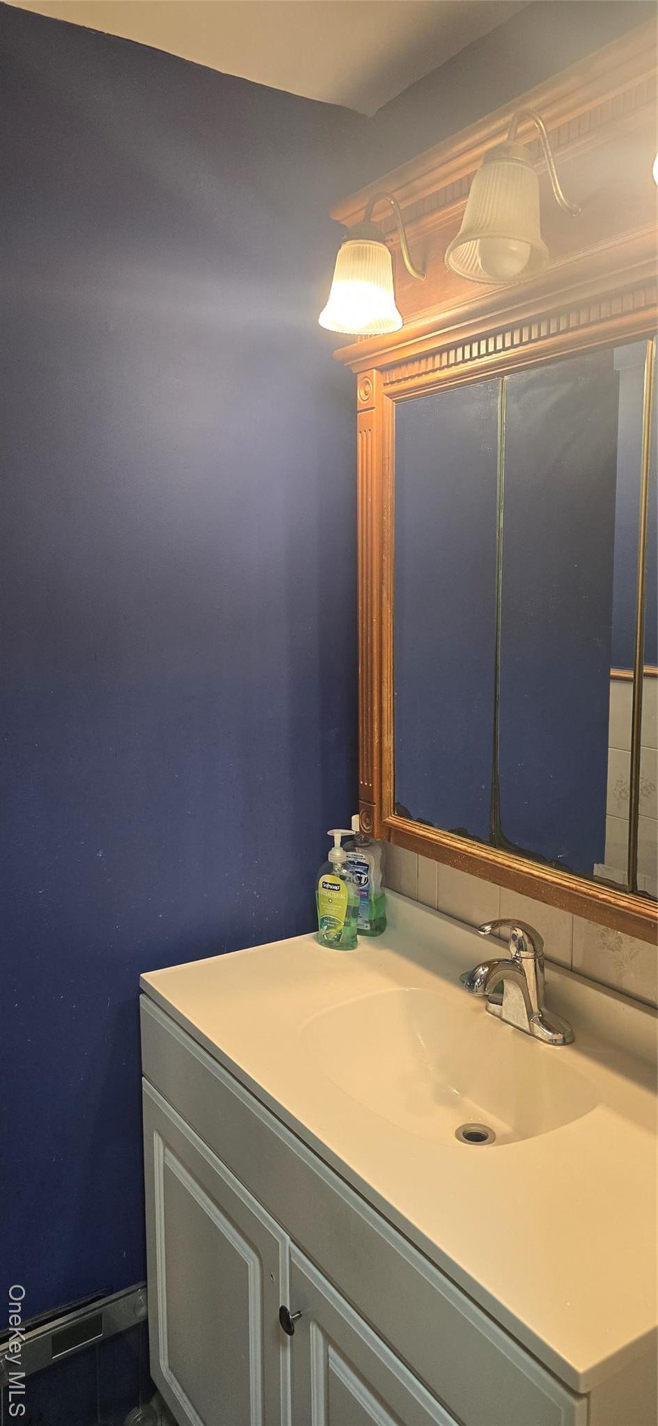 Single Family Ivy  Suffolk County, NY 11951, MLS-970458-16