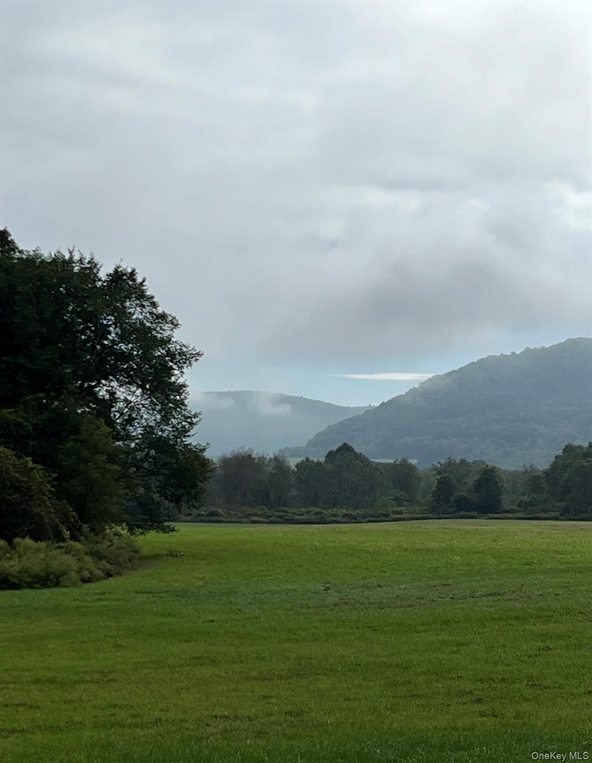 Single Family Depot  Delaware County, NY 13755, MLS-970469-11