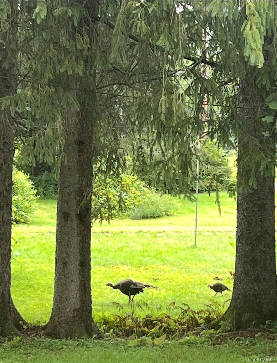 Single Family Depot  Delaware County, NY 13755, MLS-970469-30