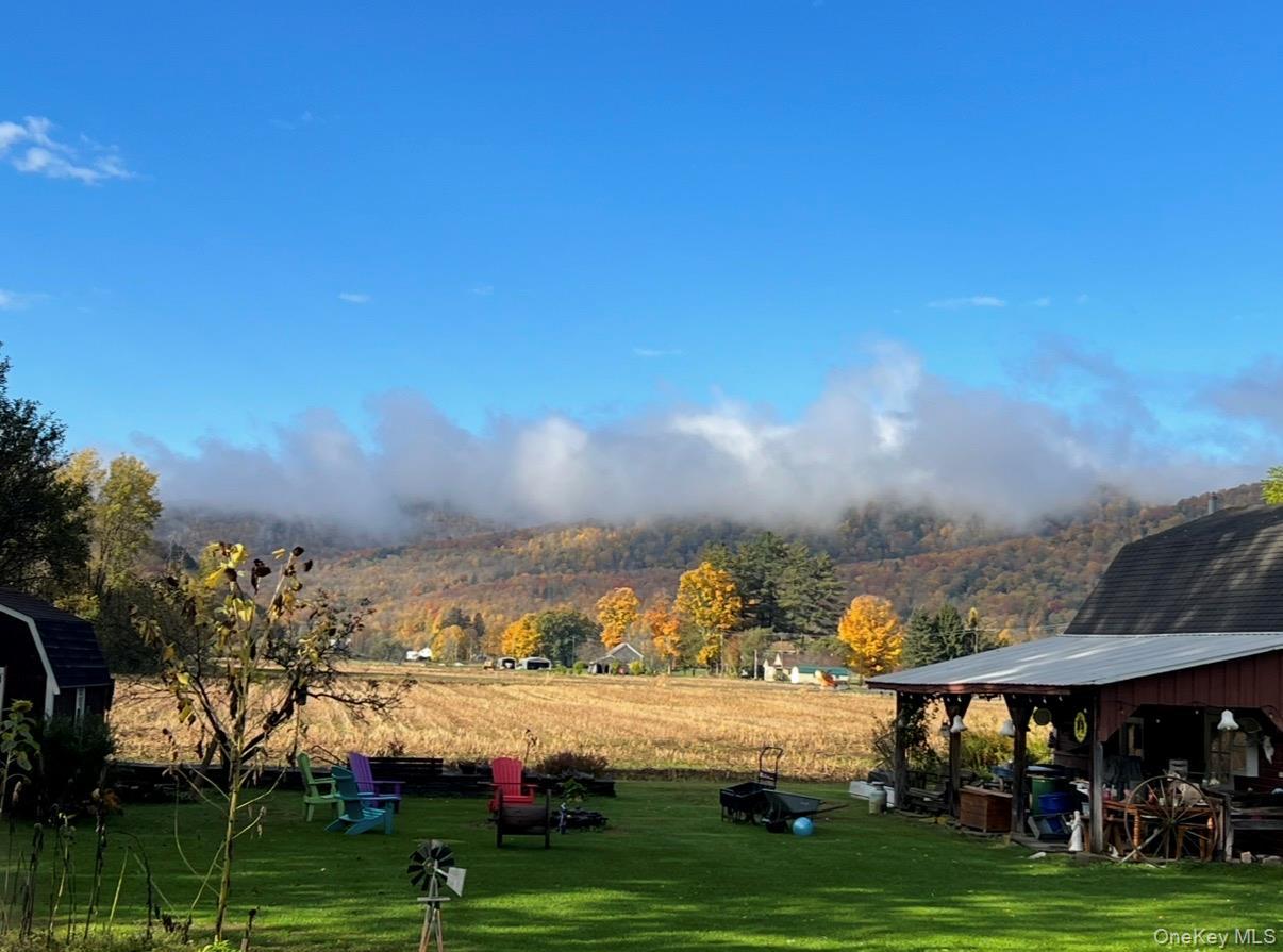 Single Family Depot  Delaware County, NY 13755, MLS-970469-33