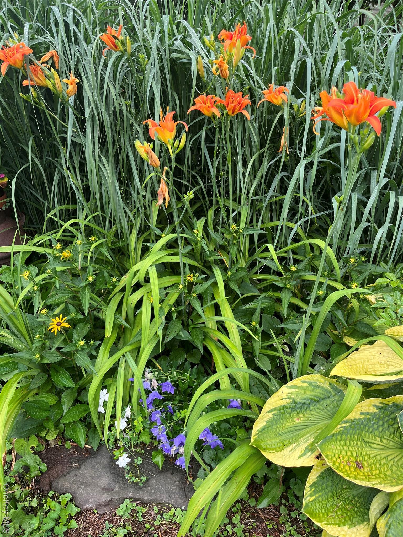 Single Family Depot  Delaware County, NY 13755, MLS-970469-35