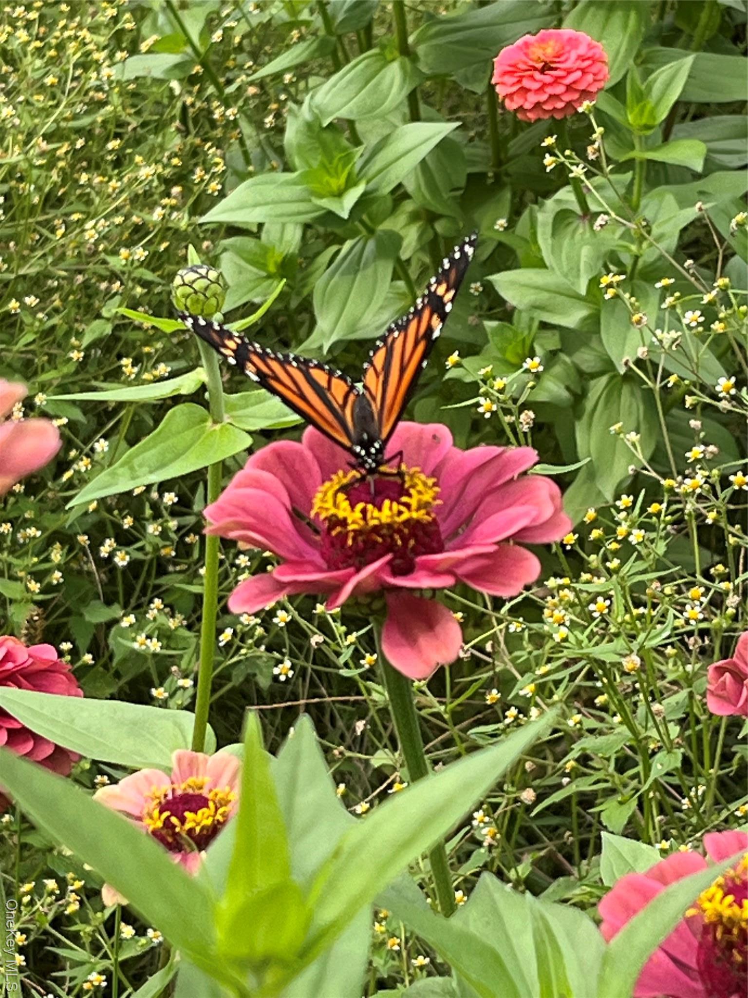 Single Family Depot  Delaware County, NY 13755, MLS-970469-37