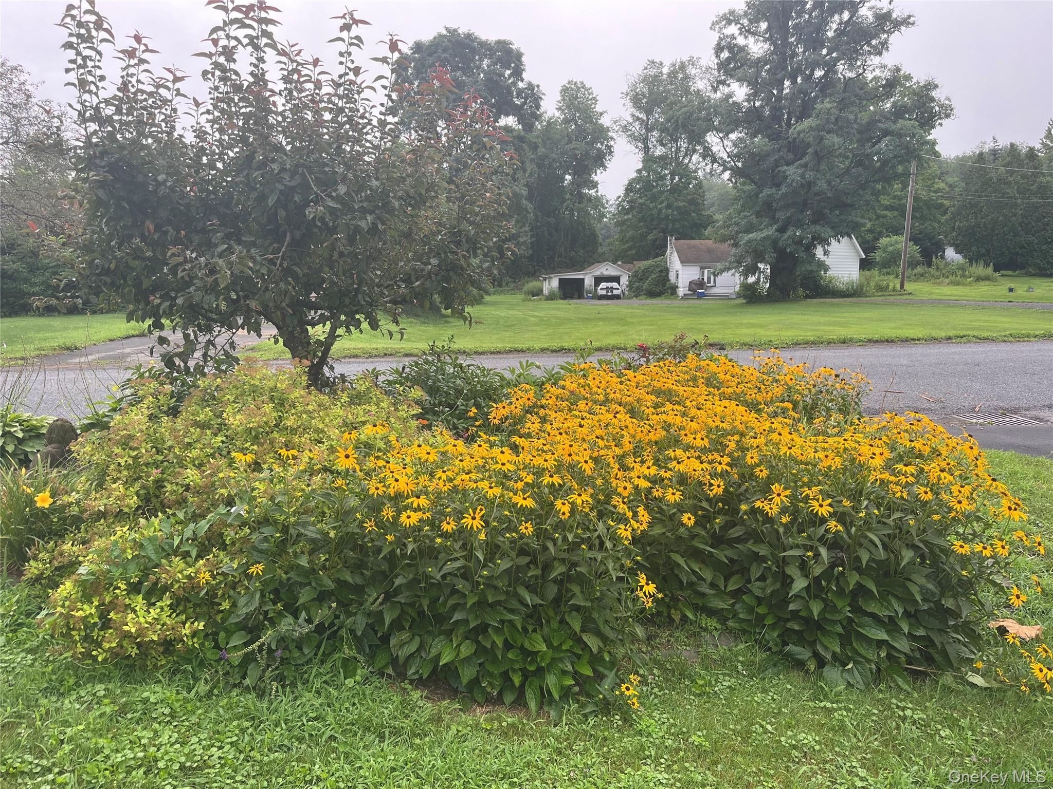 Single Family Depot  Delaware County, NY 13755, MLS-970469-39