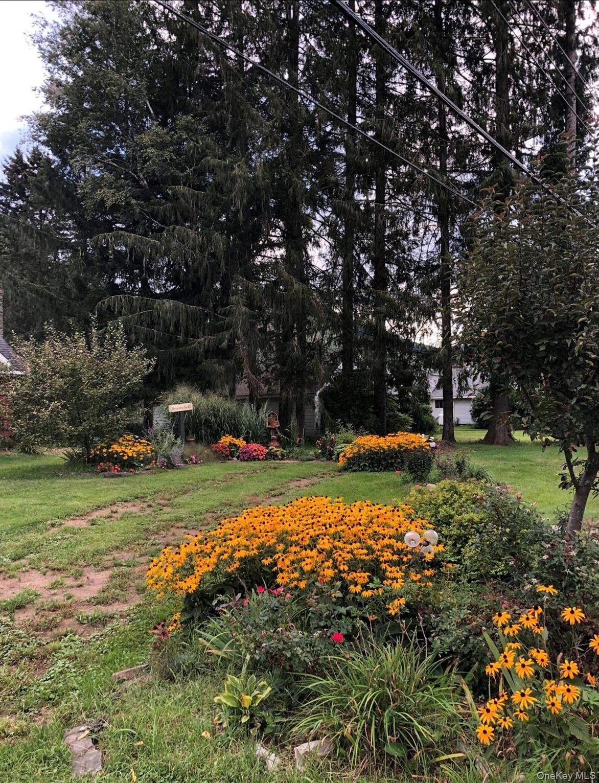 Single Family Depot  Delaware County, NY 13755, MLS-970469-7