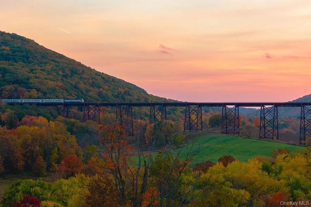 Single Family Wildwood  Orange County, NY 12575, MLS-970587-5