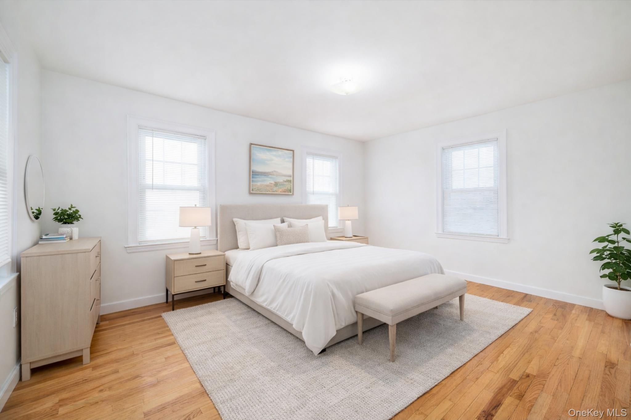 Single Family Lawson  Nassau County, NY 11518, MLS-970634-19