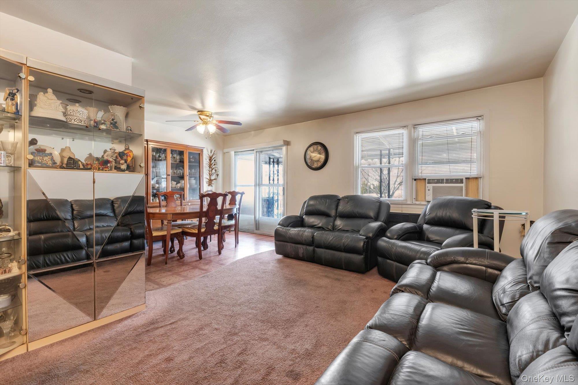 Single Family 25th Queens, NY 11354, MLS-970638-9